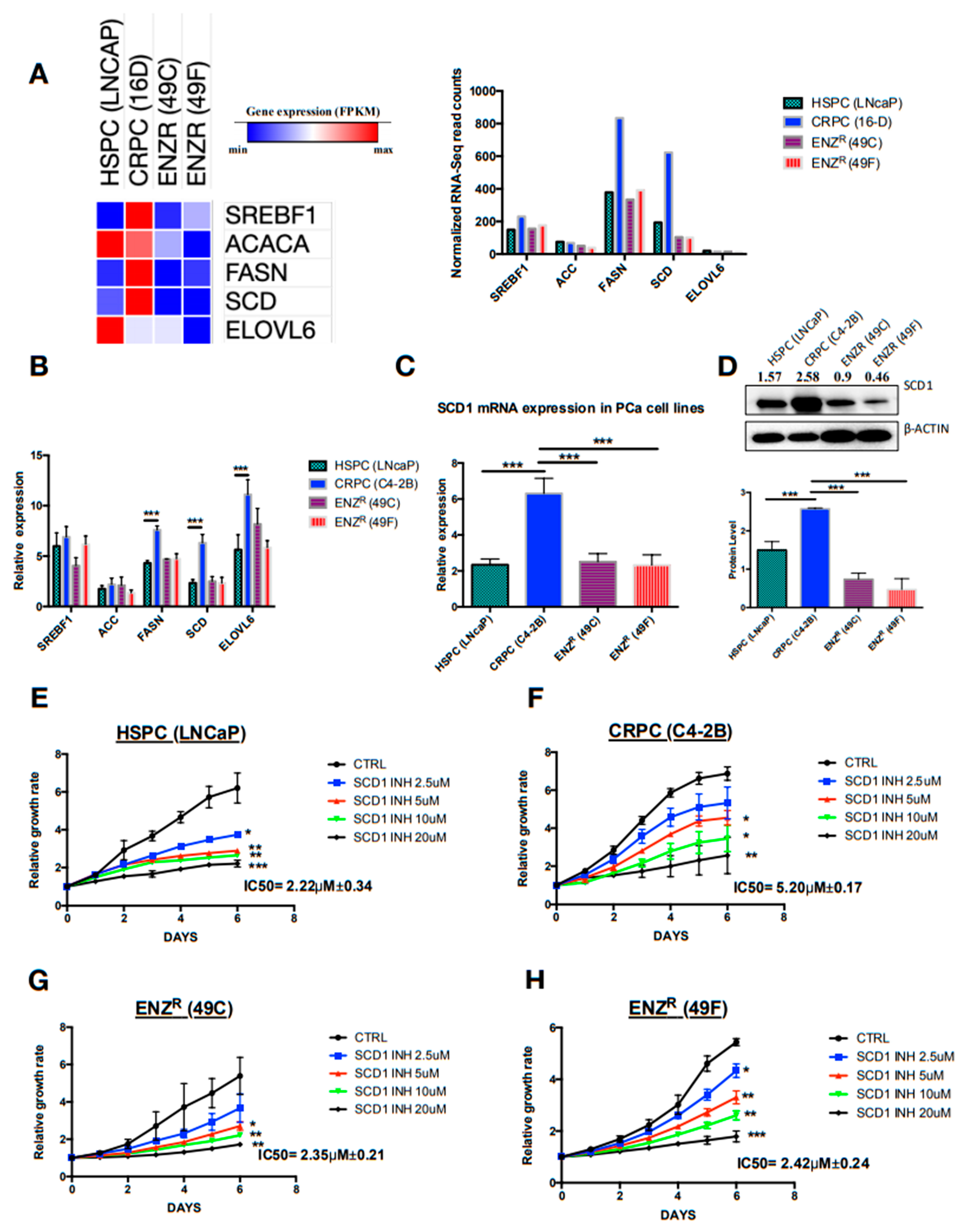 Cancers 12 03339 g002
