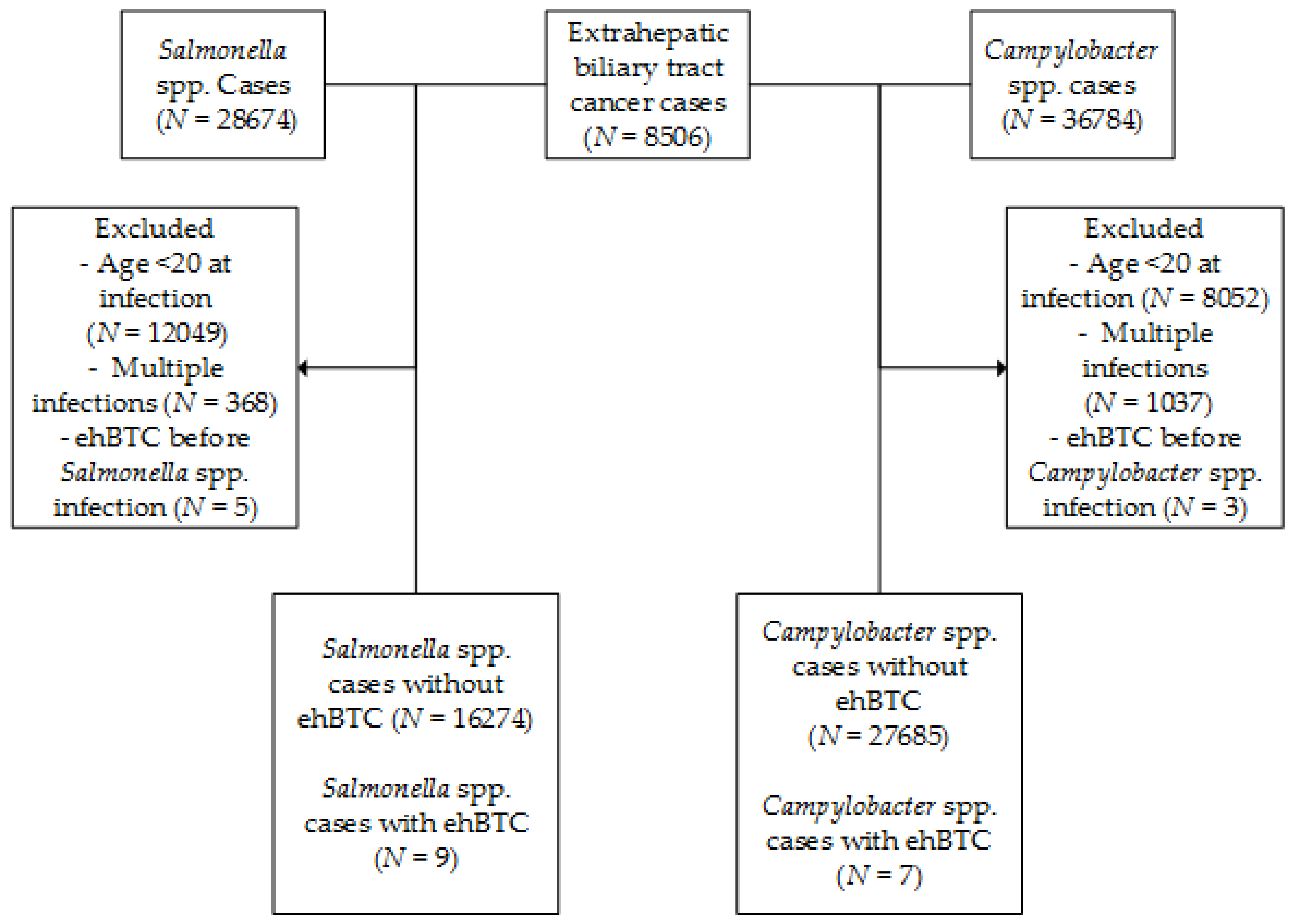 Cancers 12 03348 g001