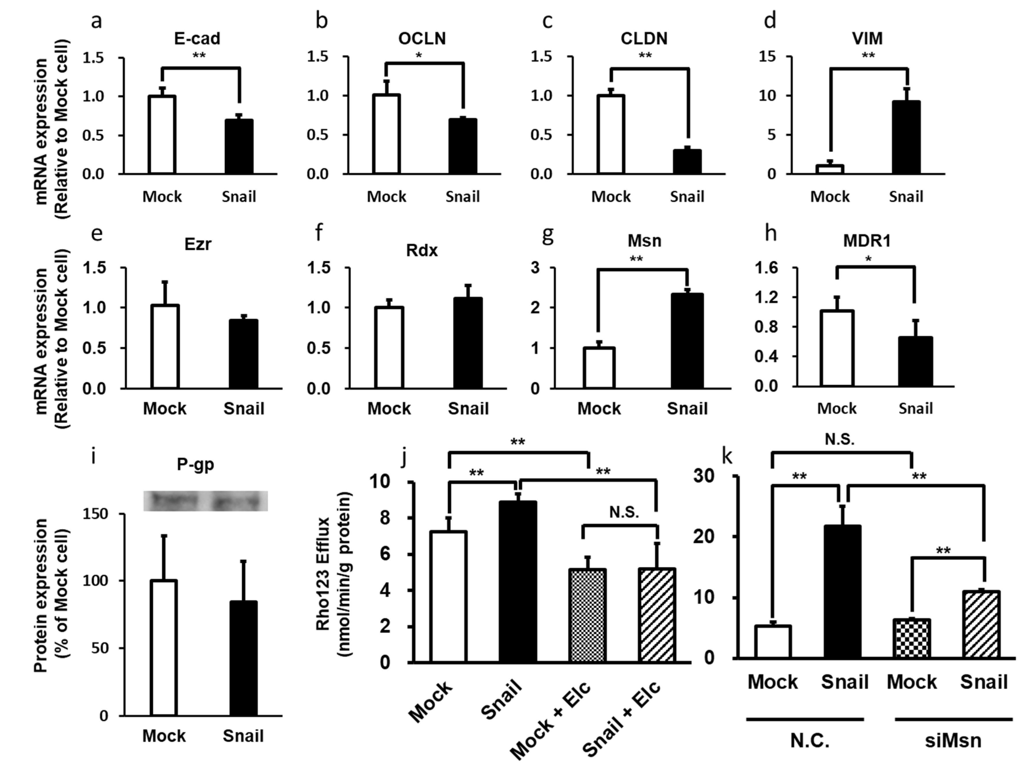 Cancers 12 03352 g001 Cancers 12 03352 g001