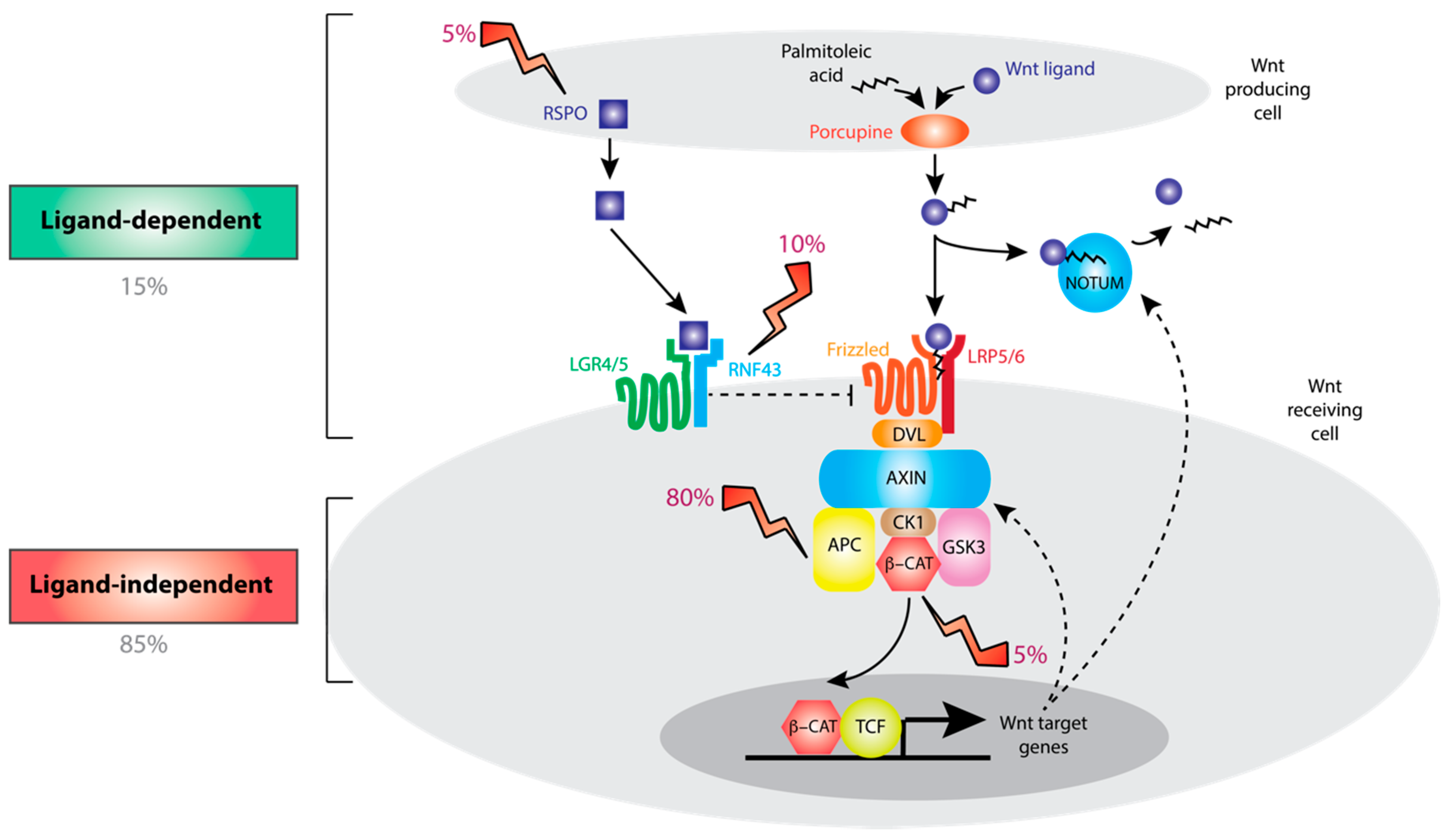 Cancers 12 03355 g001 Cancers 12 03355 g001