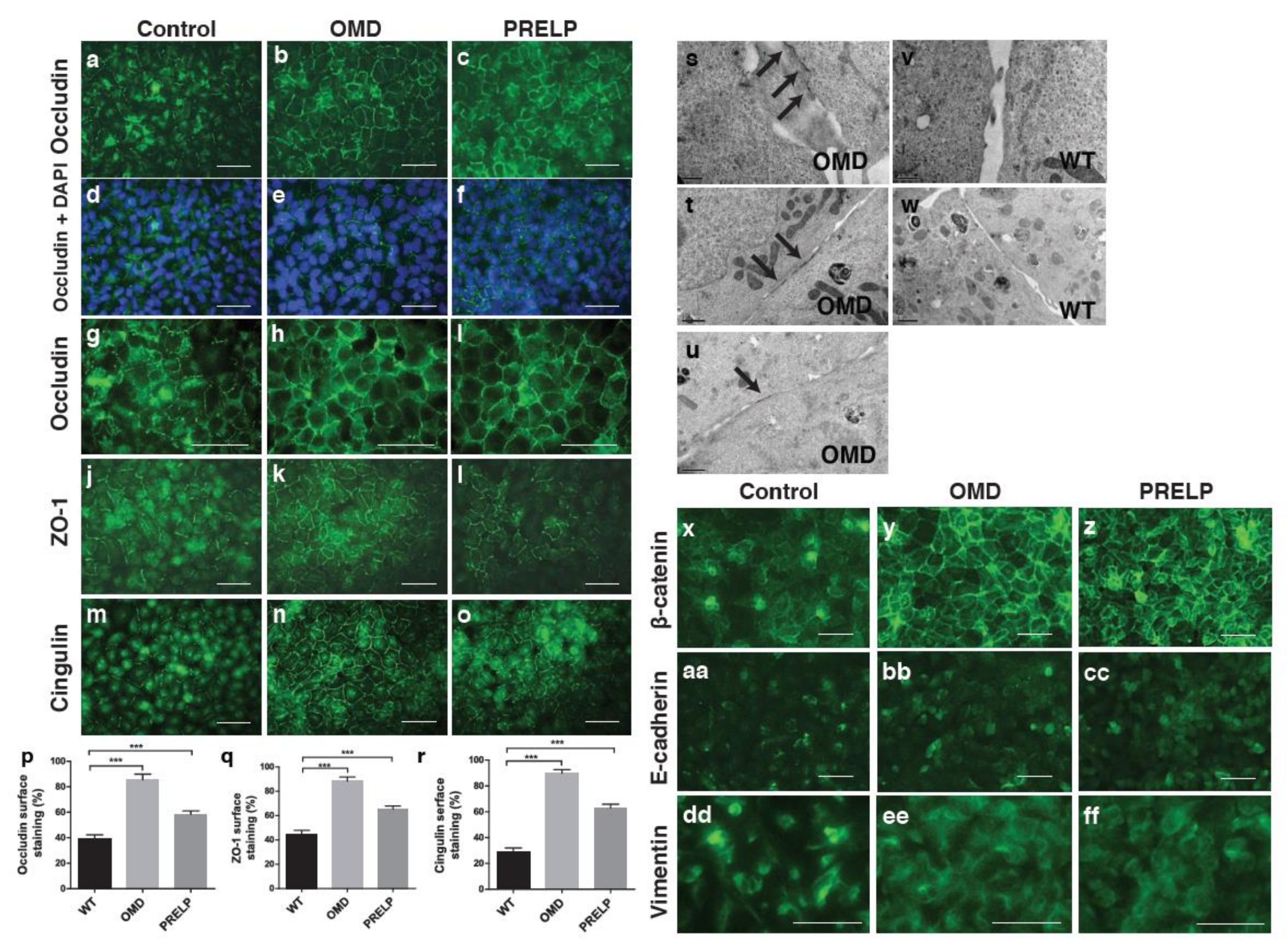 Cancers 12 03362 g004 Cancers 12 03362 g004