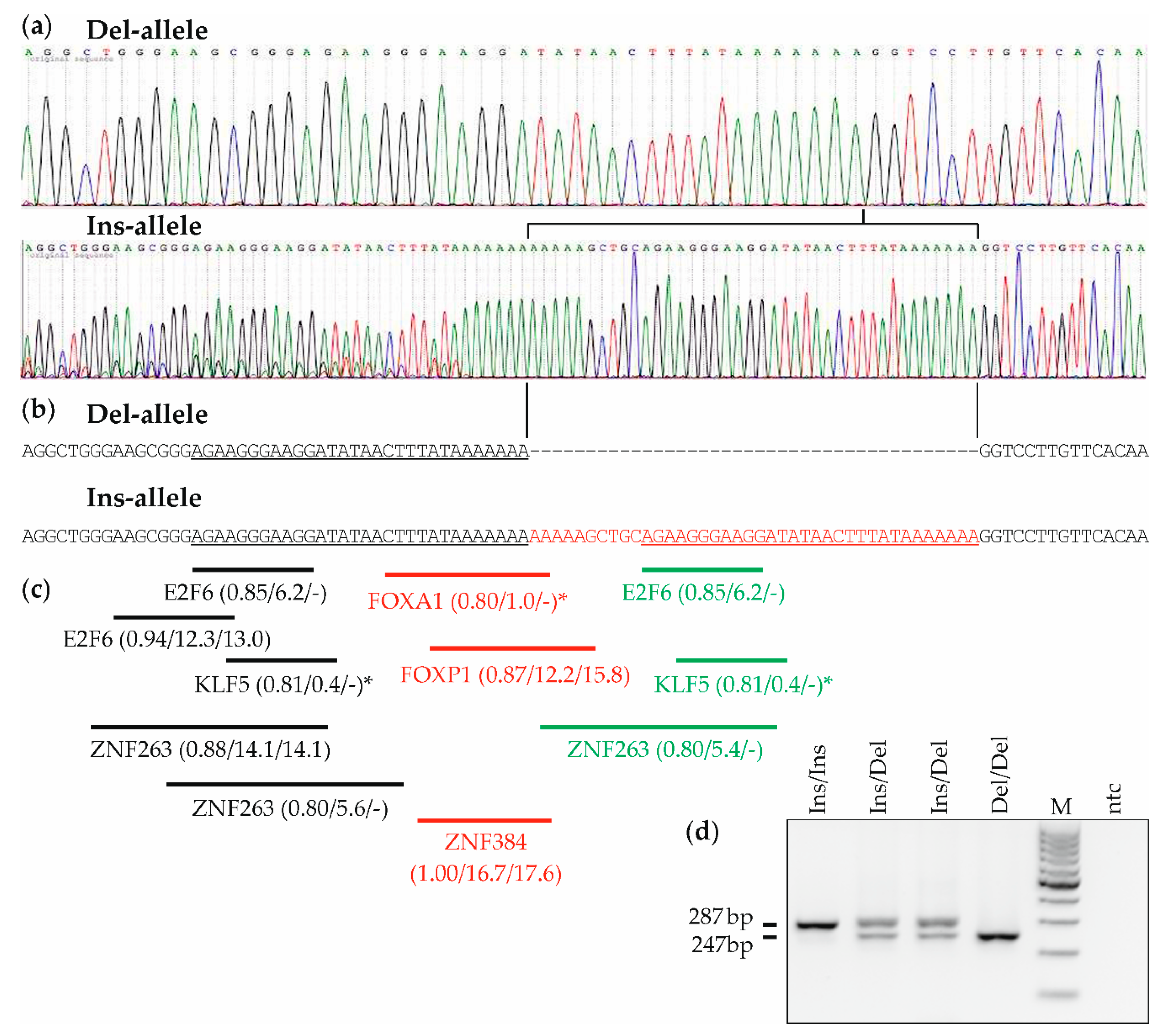 Cancers 12 03363 g001 Cancers 12 03363 g001