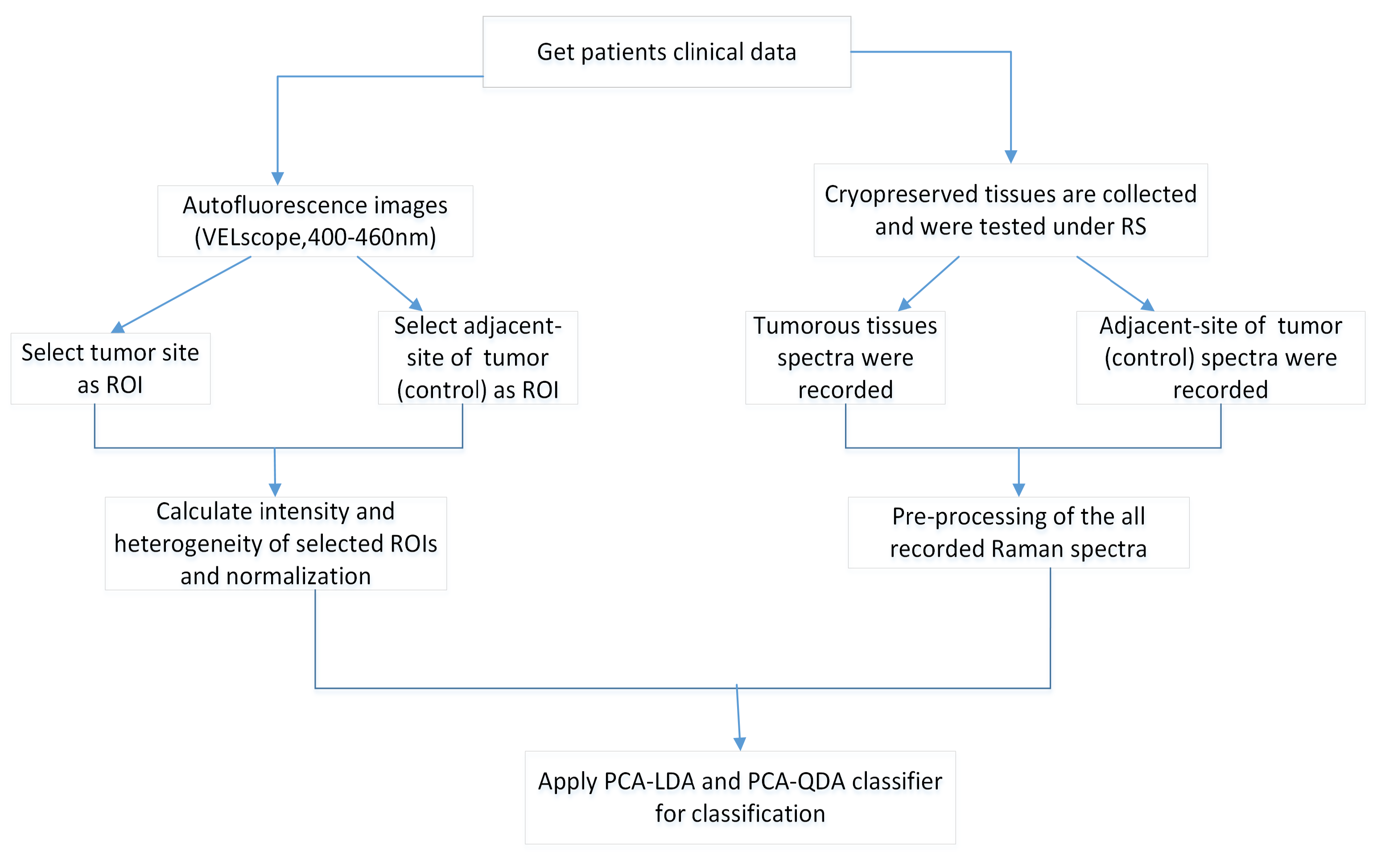 Cancers 12 03364 g001 Cancers 12 03364 g001