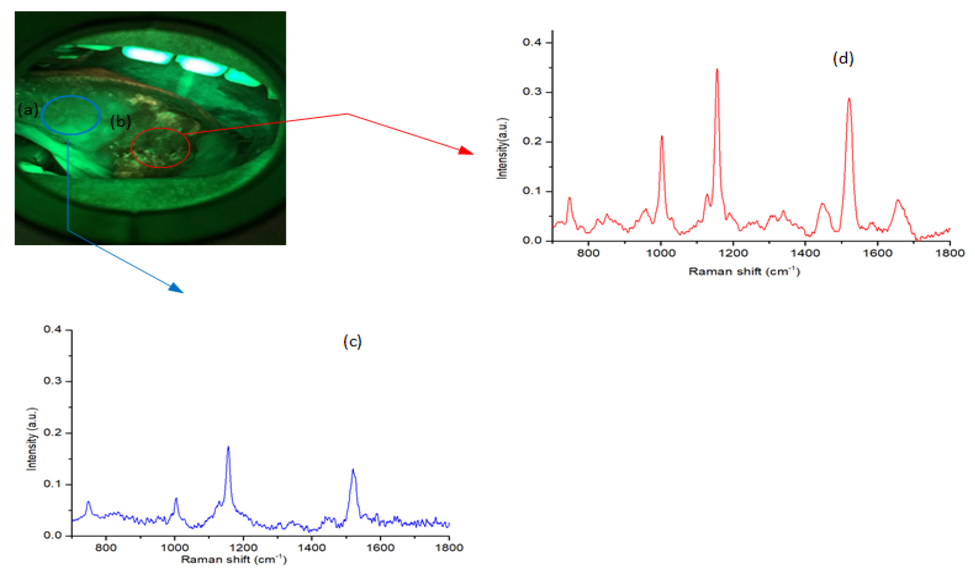 Cancers 12 03364 g003 Cancers 12 03364 g003