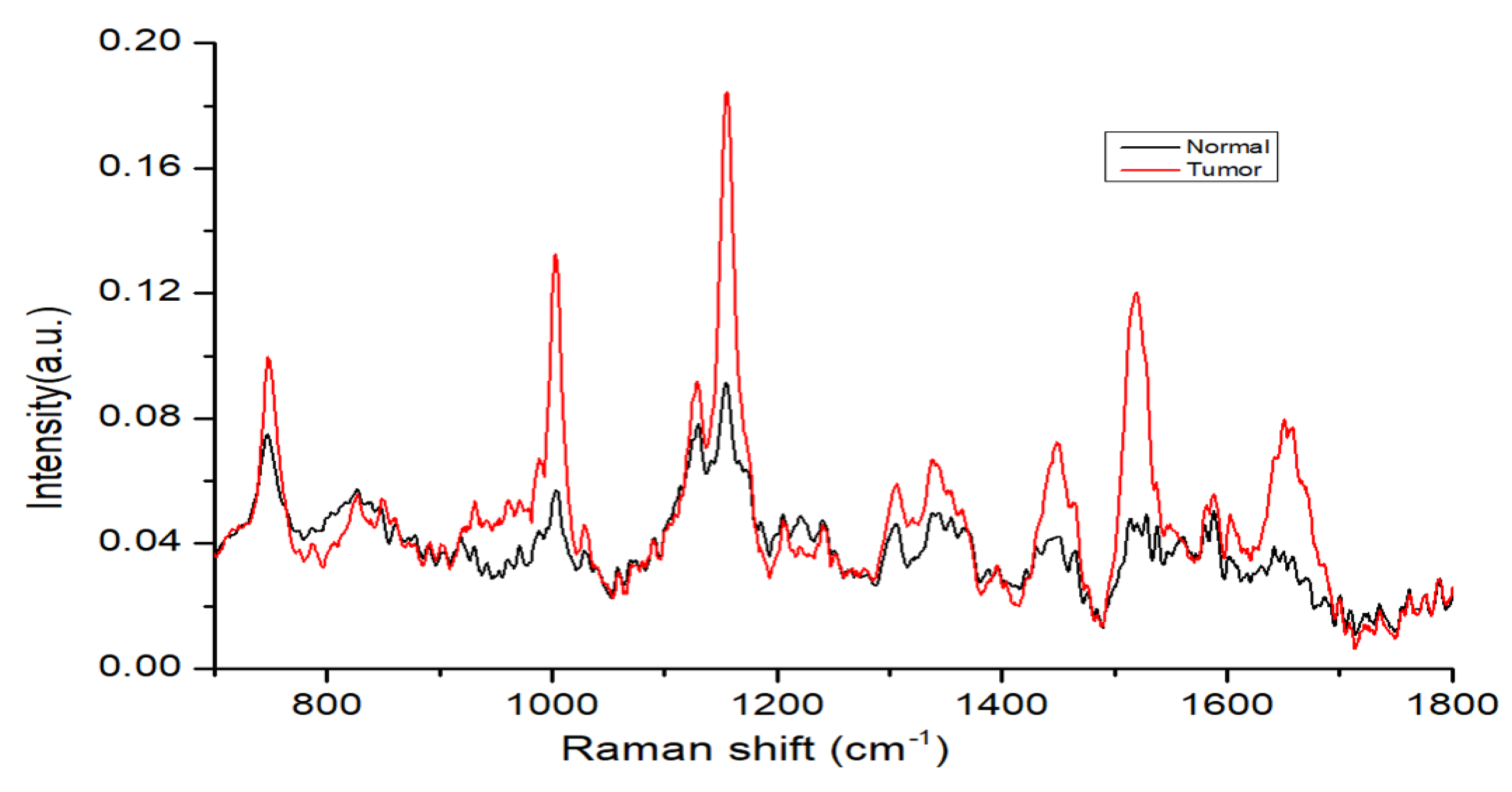 Cancers 12 03364 g004 Cancers 12 03364 g004