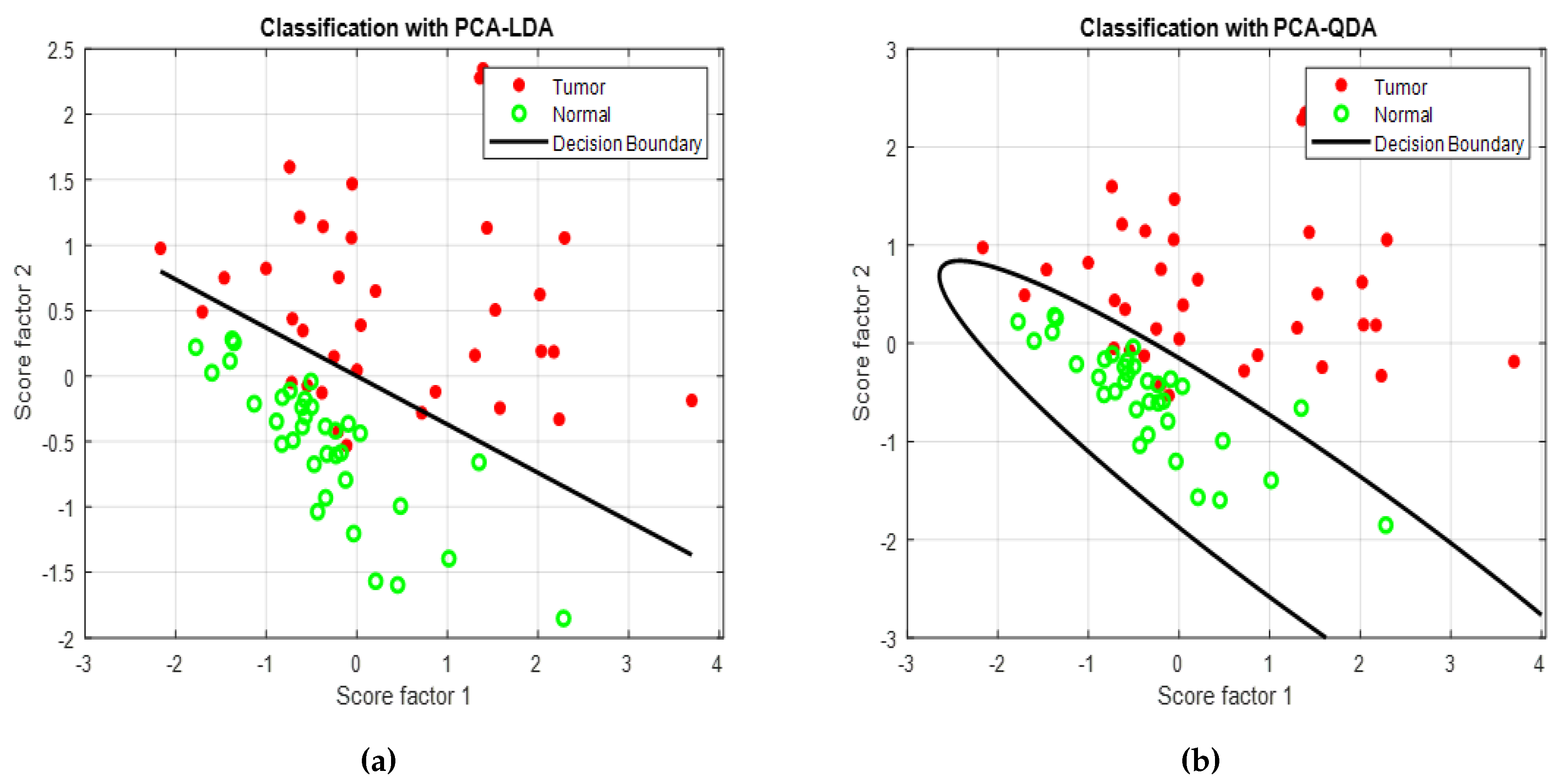 Cancers 12 03364 g005 Cancers 12 03364 g005
