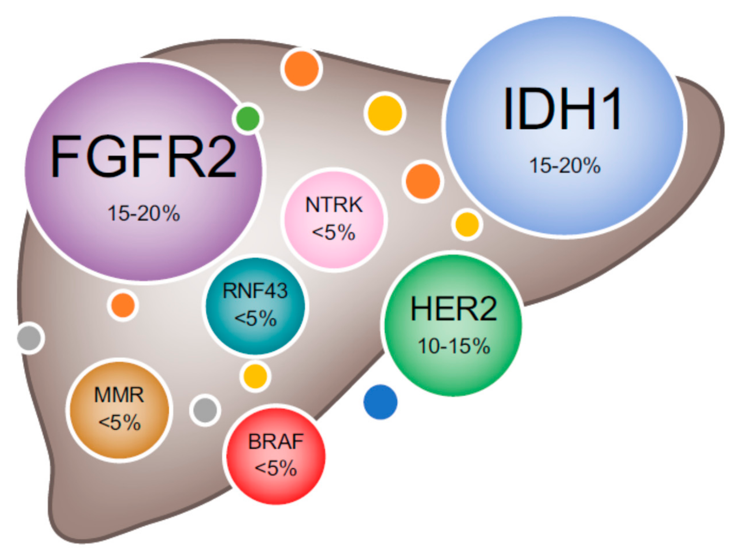 Cancers 12 03370 g002