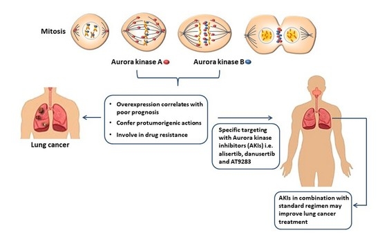 cancers-12-03371-ag-550.jpg