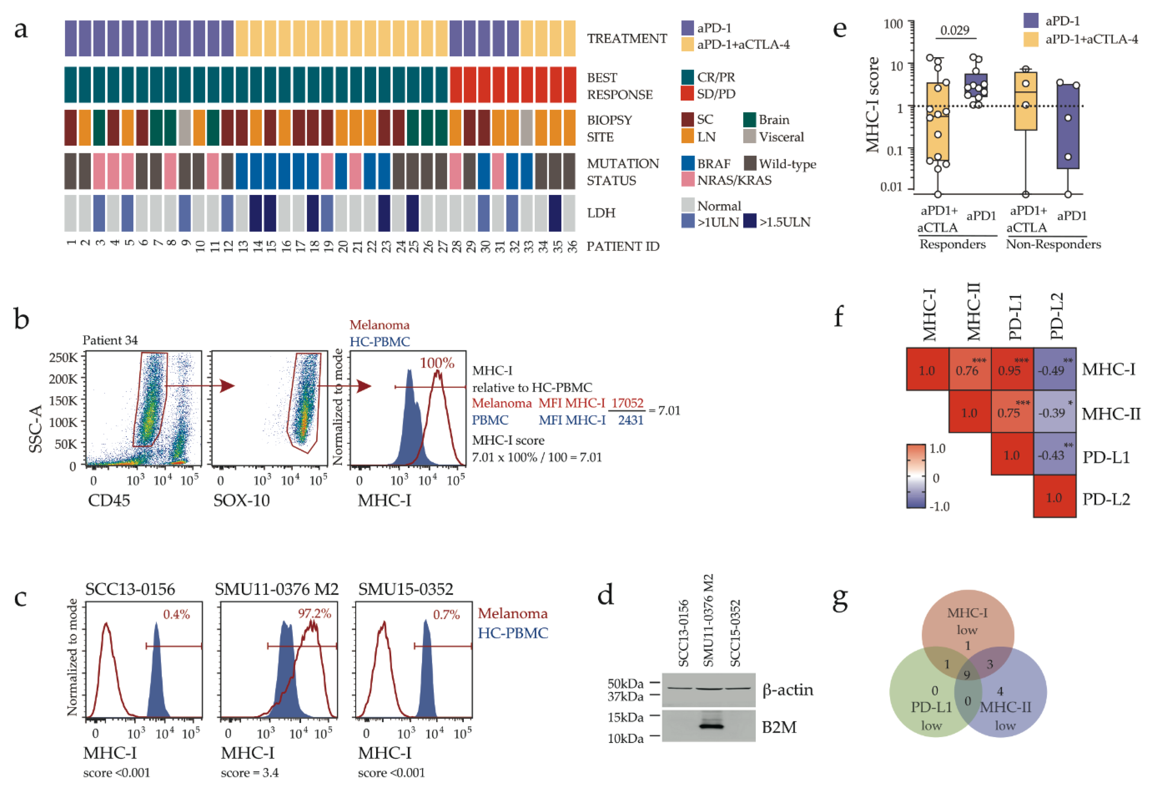 Cancers 12 03374 g001