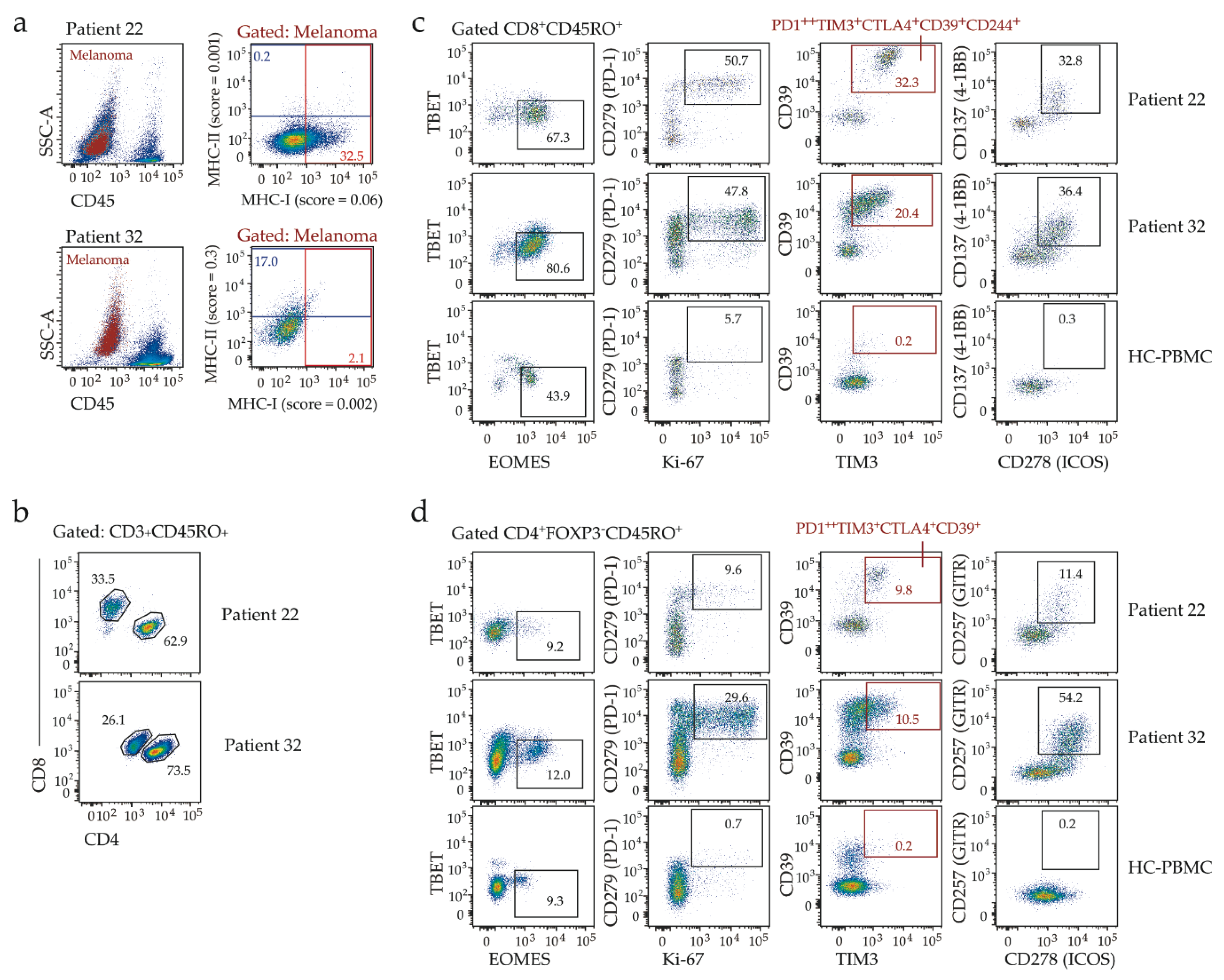 Cancers 12 03374 g002