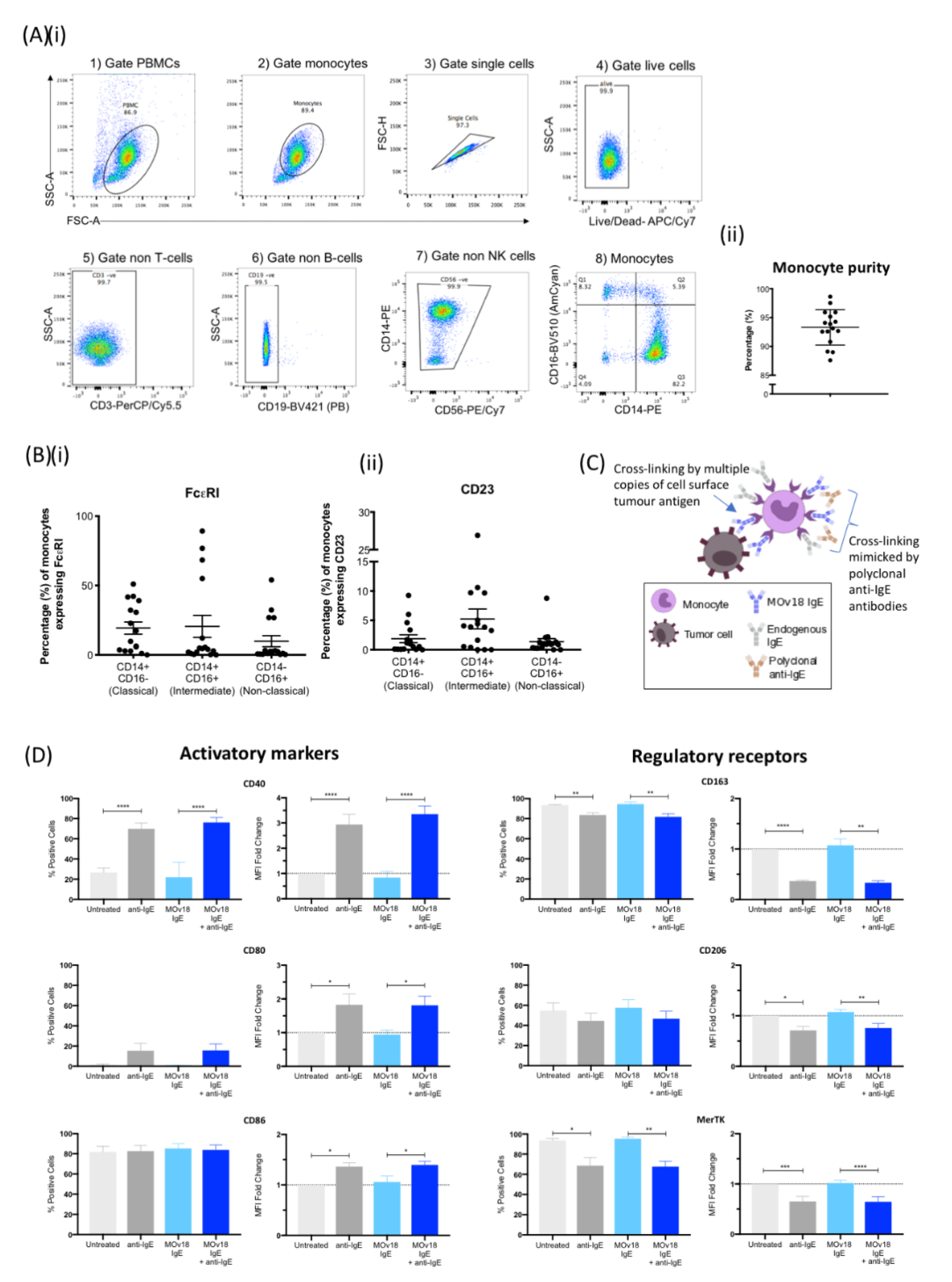 Cancers 12 03376 g001