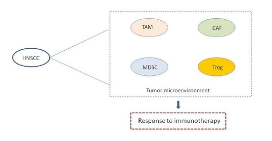 cancers-12-03377-ag-550.jpg