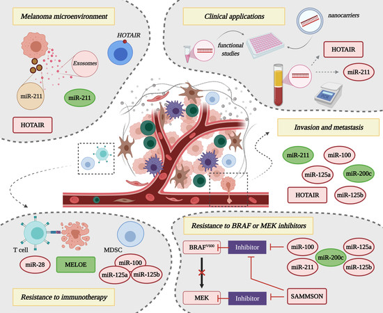 cancers-12-03378-ag-550.jpg