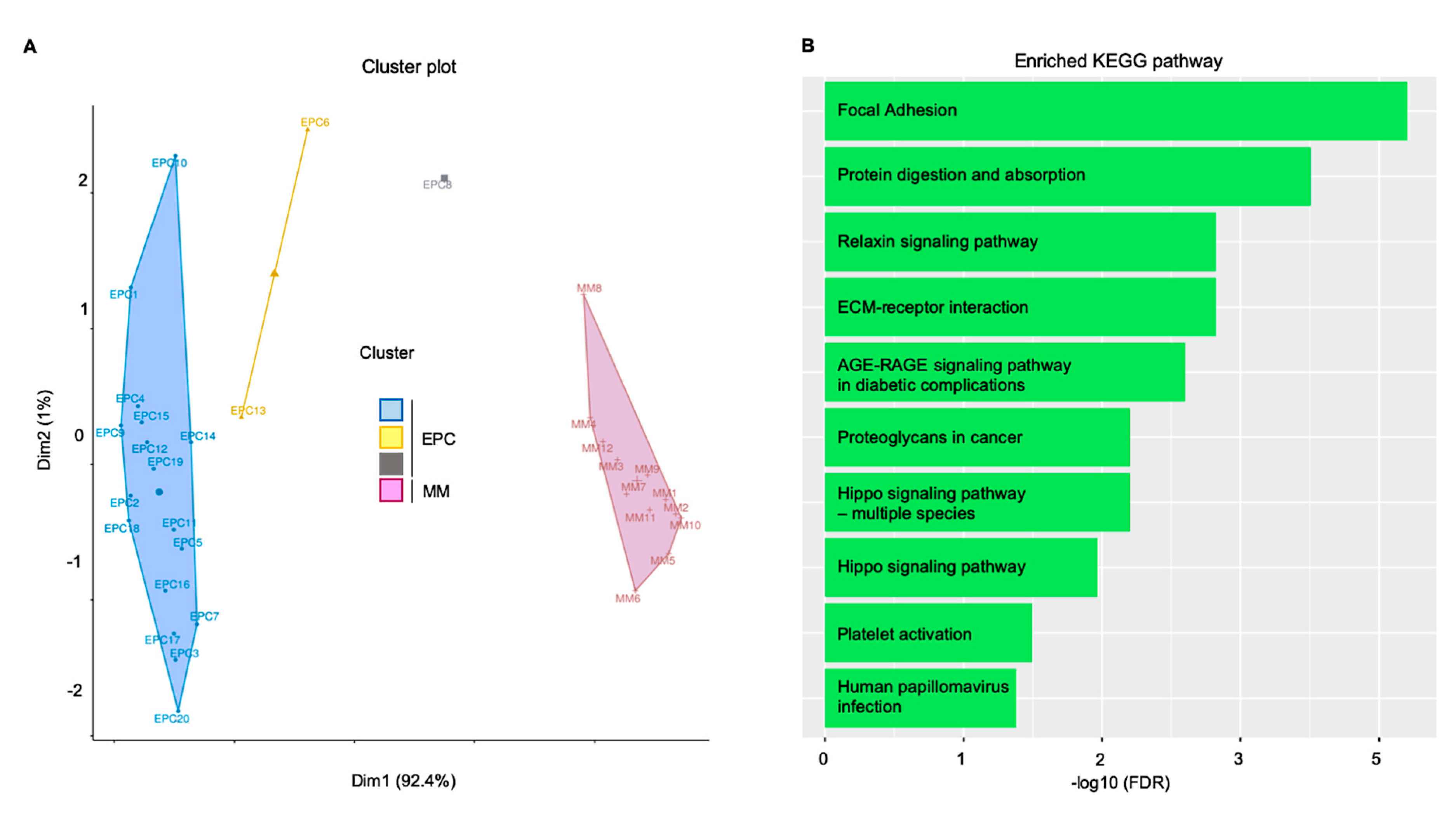 Cancers 12 03380 g003 Cancers 12 03380 g003