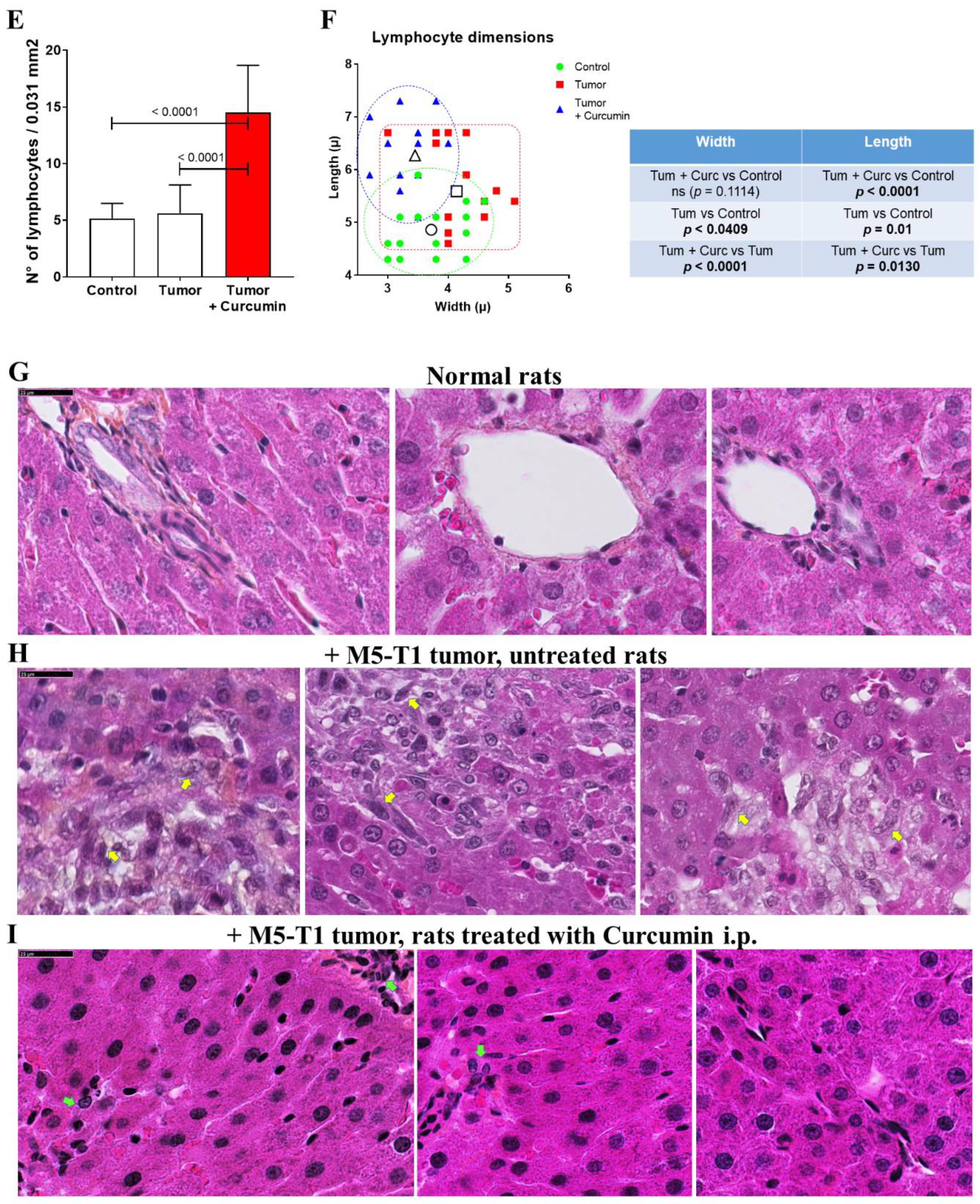 Cancers 12 03384 g001b Cancers 12 03384 g001b