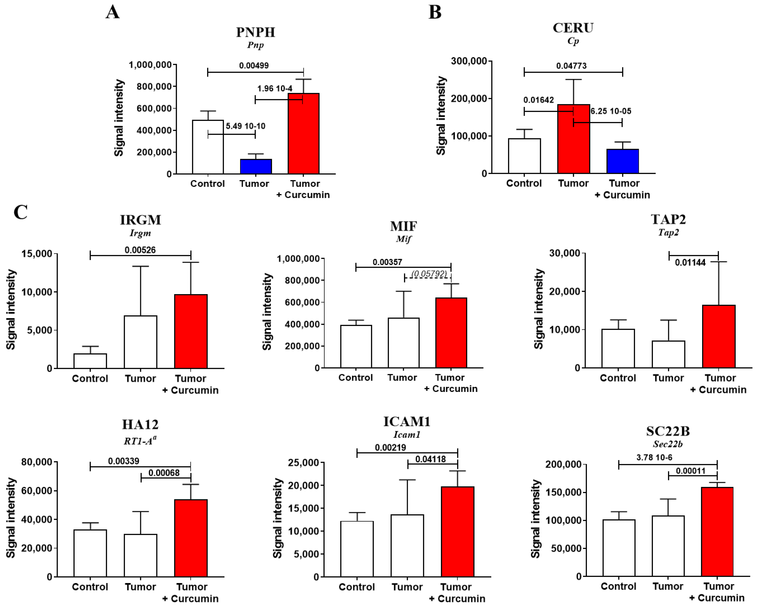 Cancers 12 03384 g002a Cancers 12 03384 g002a