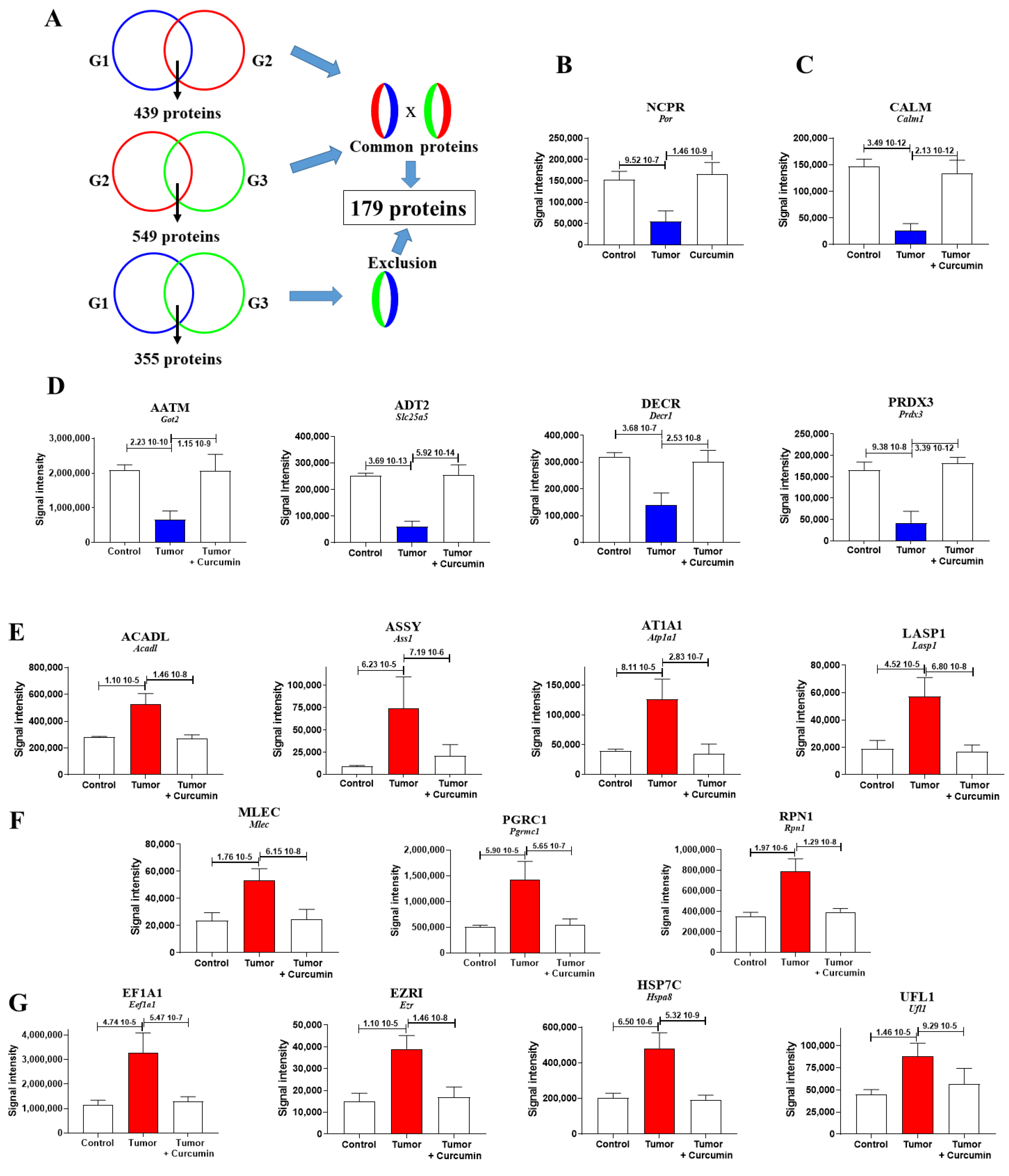 Cancers 12 03384 g003 Cancers 12 03384 g003