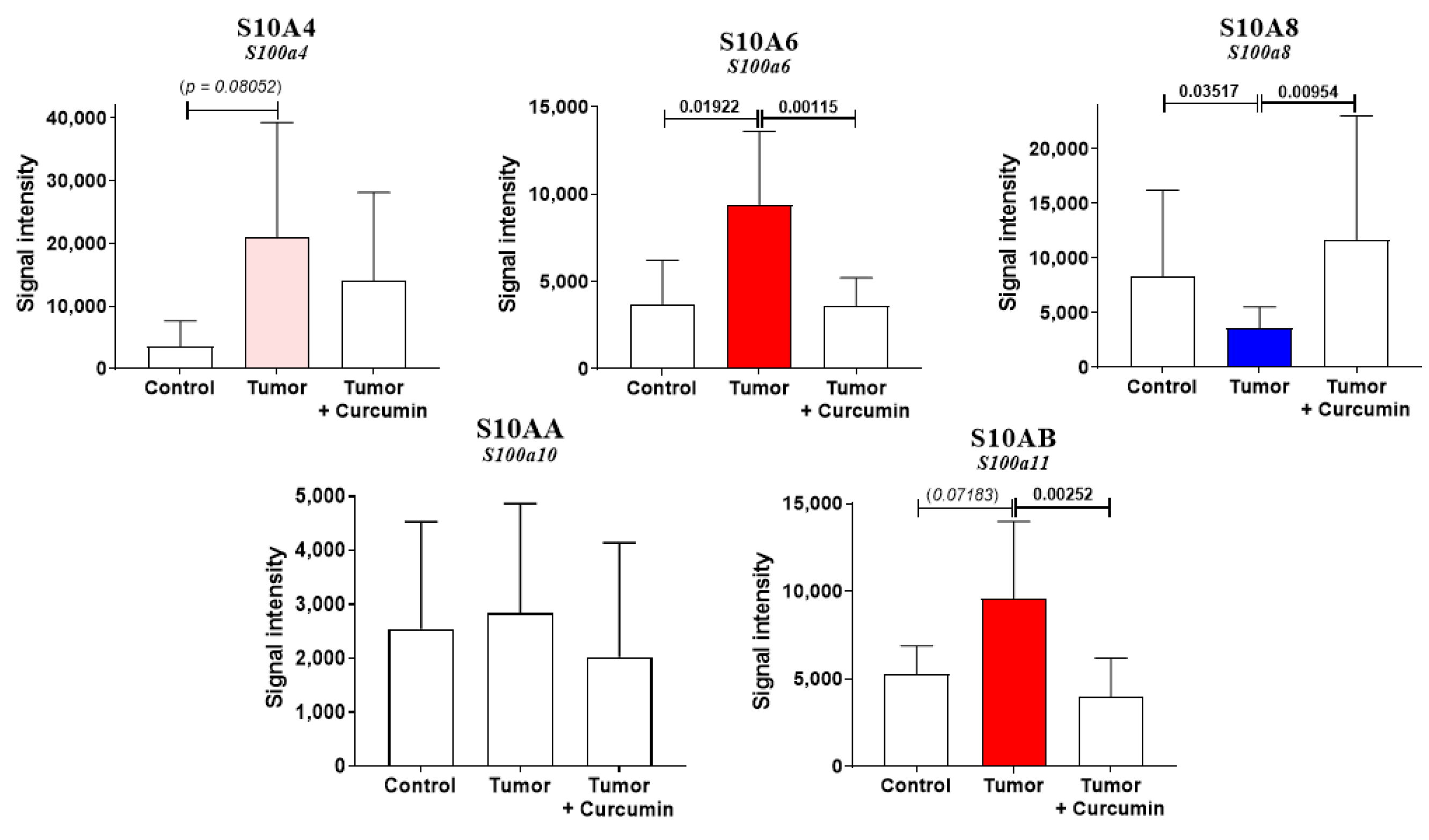 Cancers 12 03384 g005 Cancers 12 03384 g005