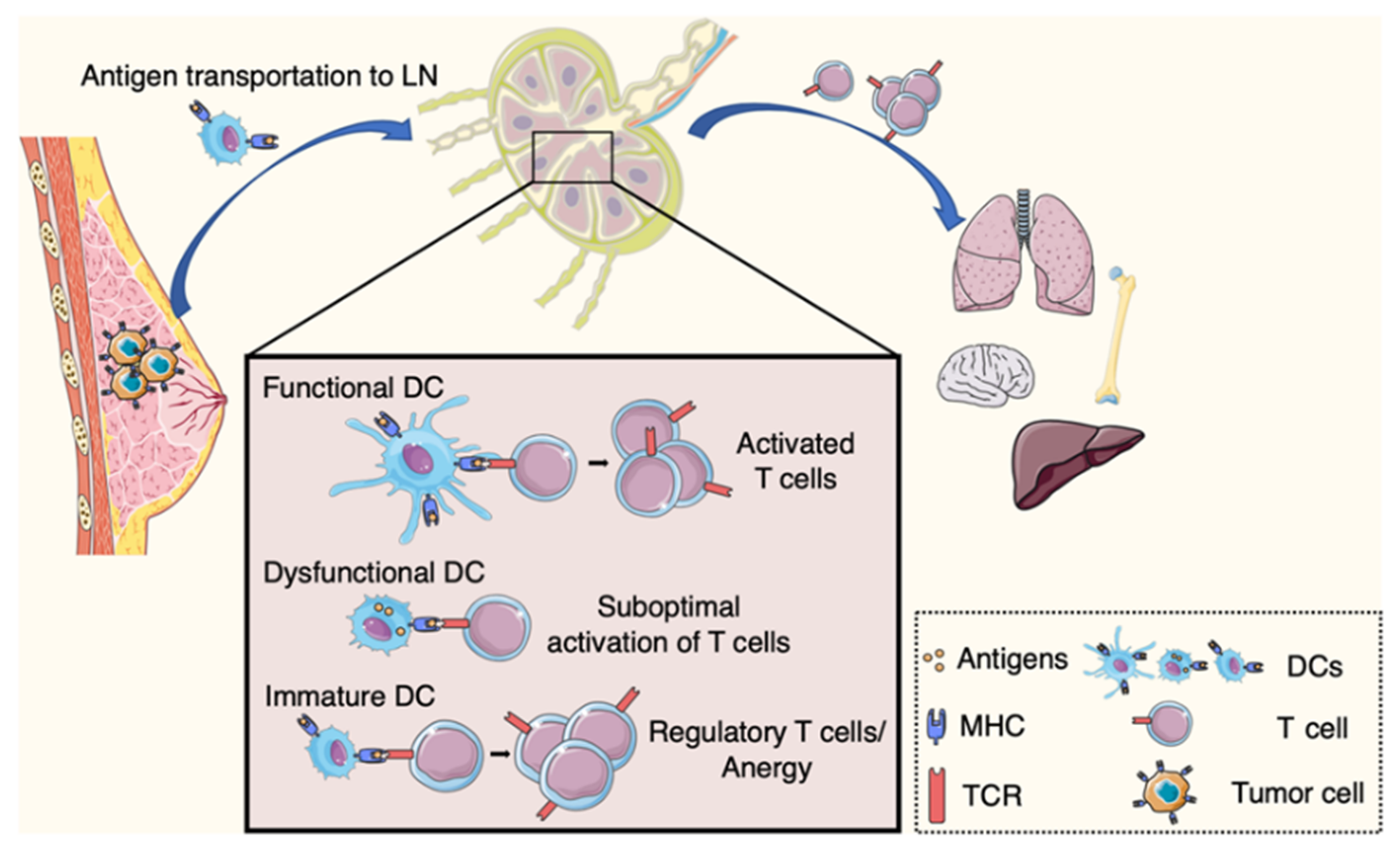 Cancers 12 03385 g001