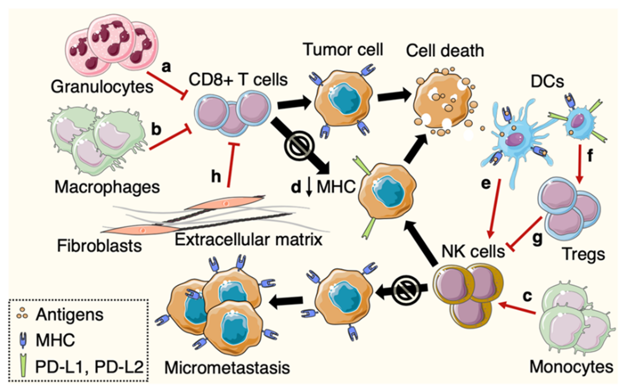 Cancers 12 03385 g002
