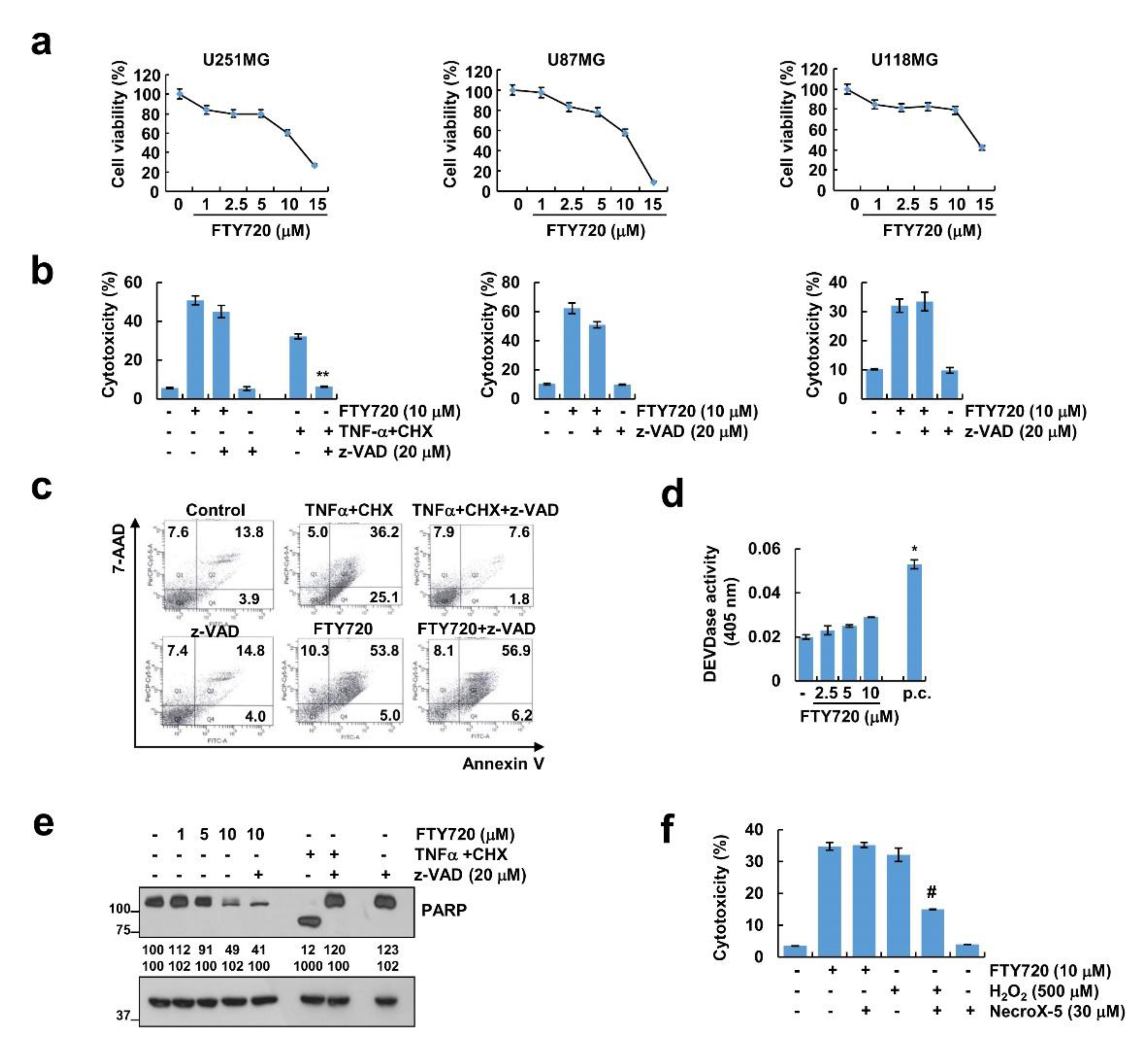 Cancers 12 03388 g001 Cancers 12 03388 g001