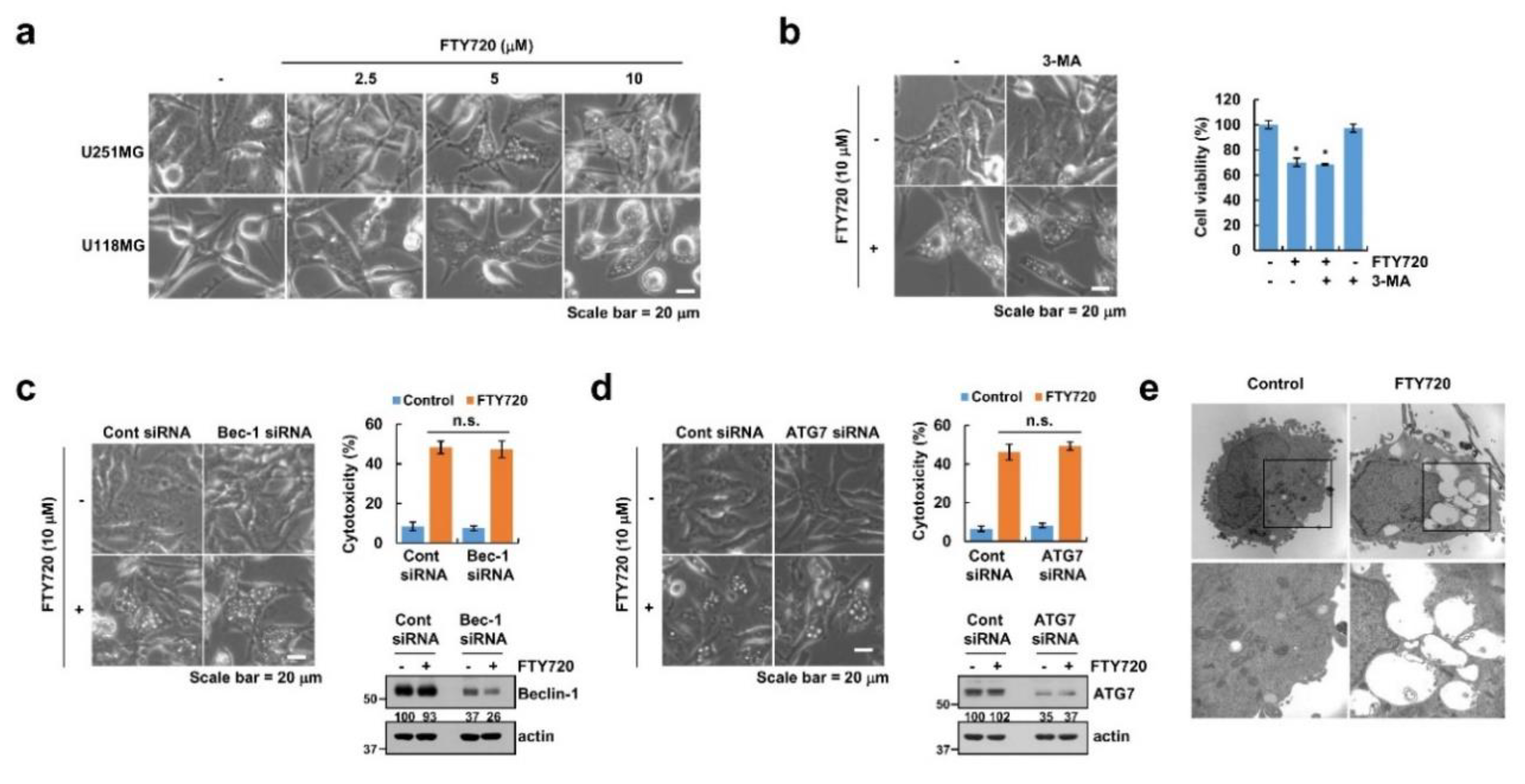Cancers 12 03388 g002 Cancers 12 03388 g002