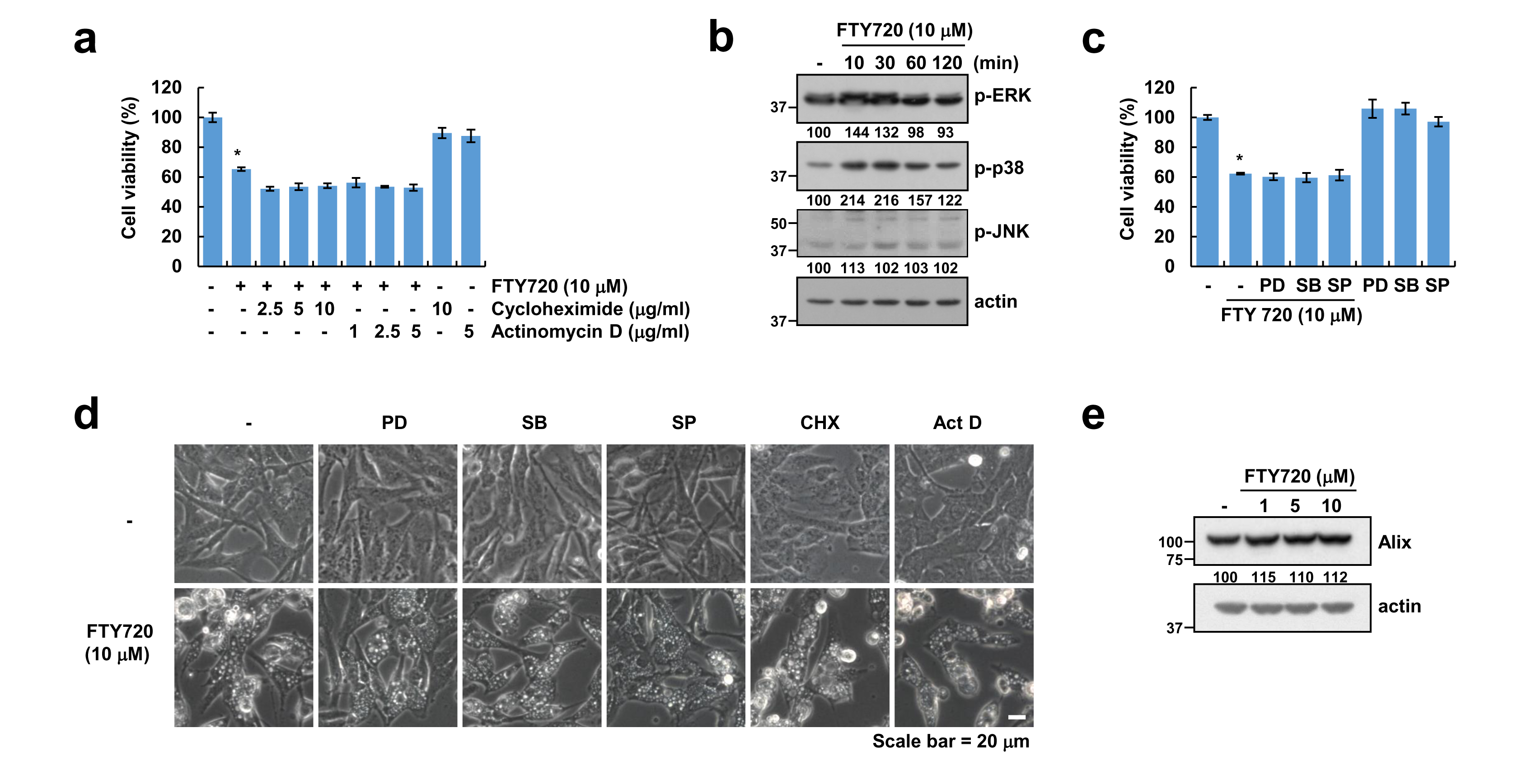 Cancers 12 03388 g003 Cancers 12 03388 g003