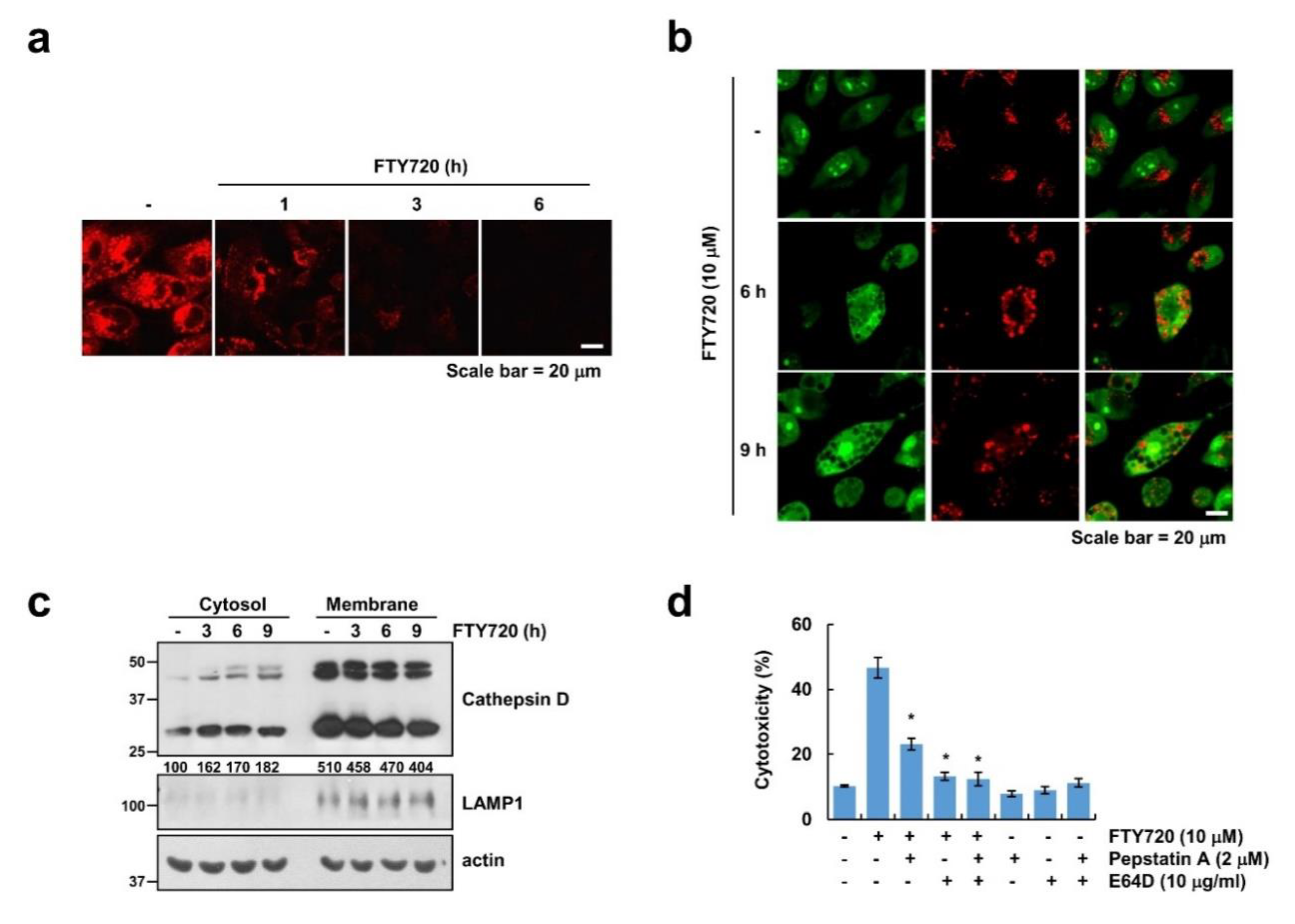 Cancers 12 03388 g004 Cancers 12 03388 g004