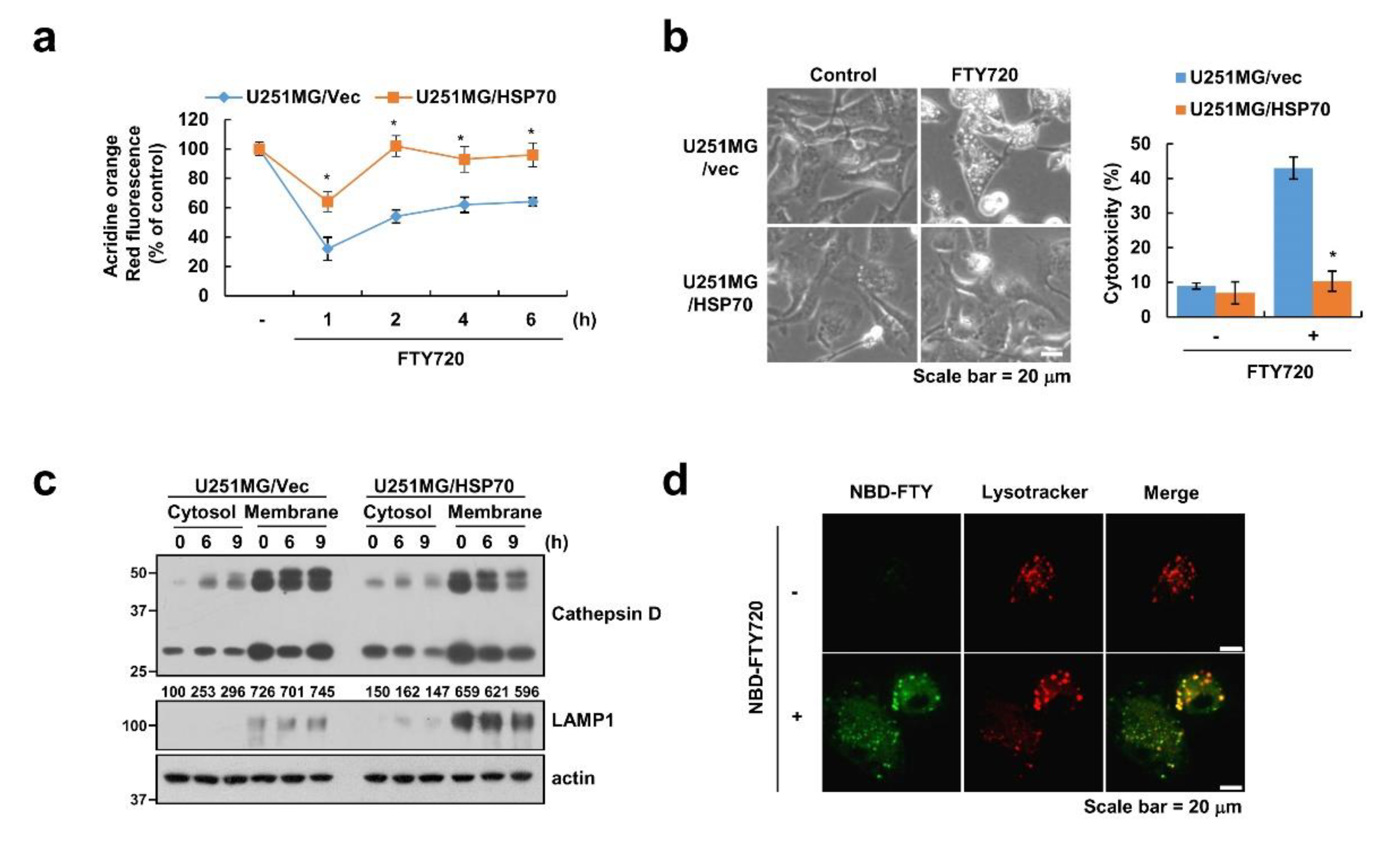 Cancers 12 03388 g005 Cancers 12 03388 g005
