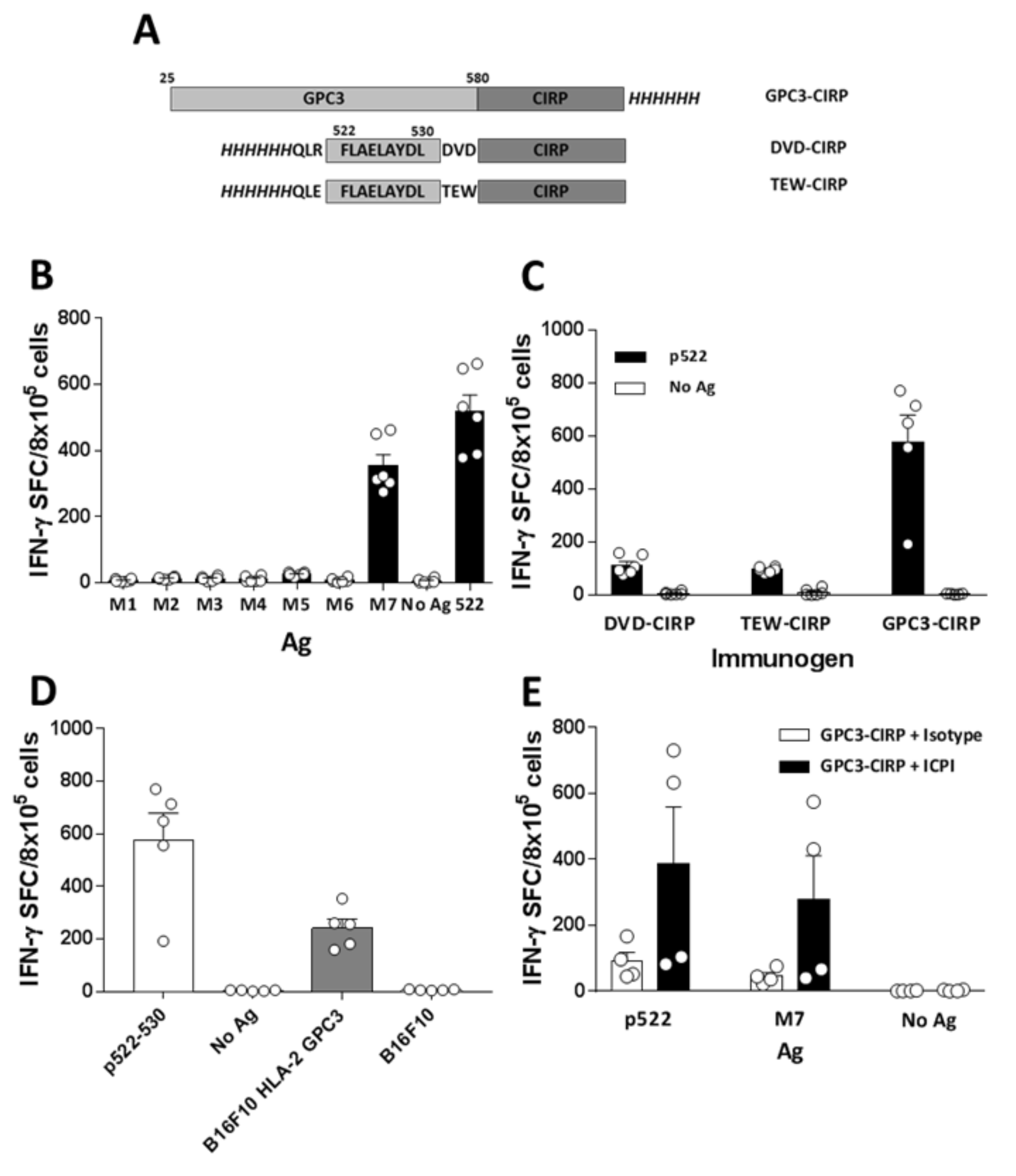 Cancers 12 03397 g005 Cancers 12 03397 g005
