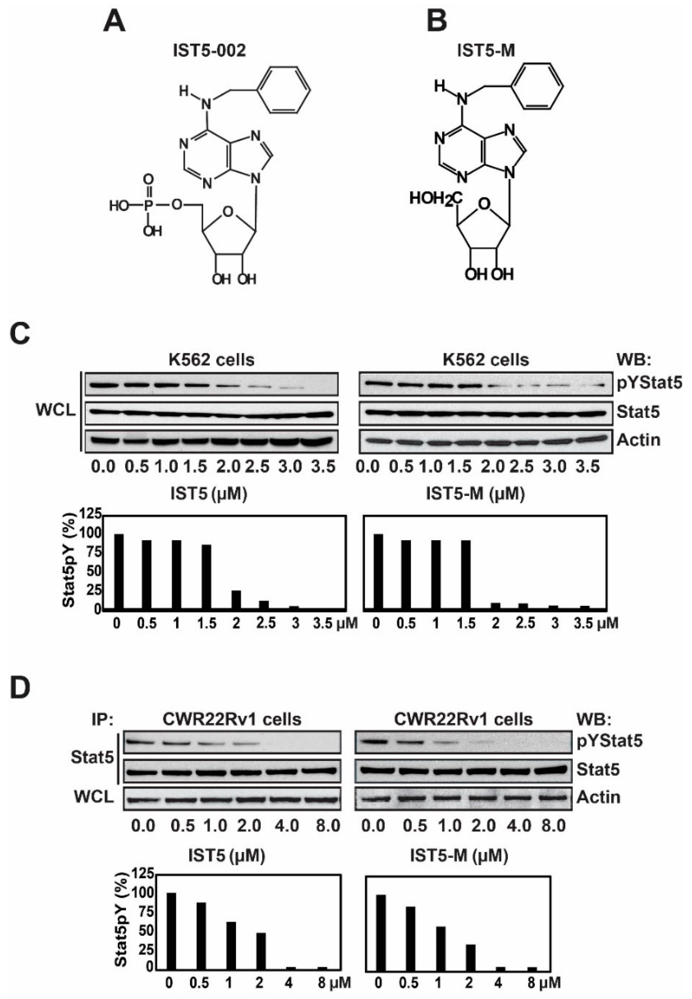 Cancers 12 03412 g004 Cancers 12 03412 g004