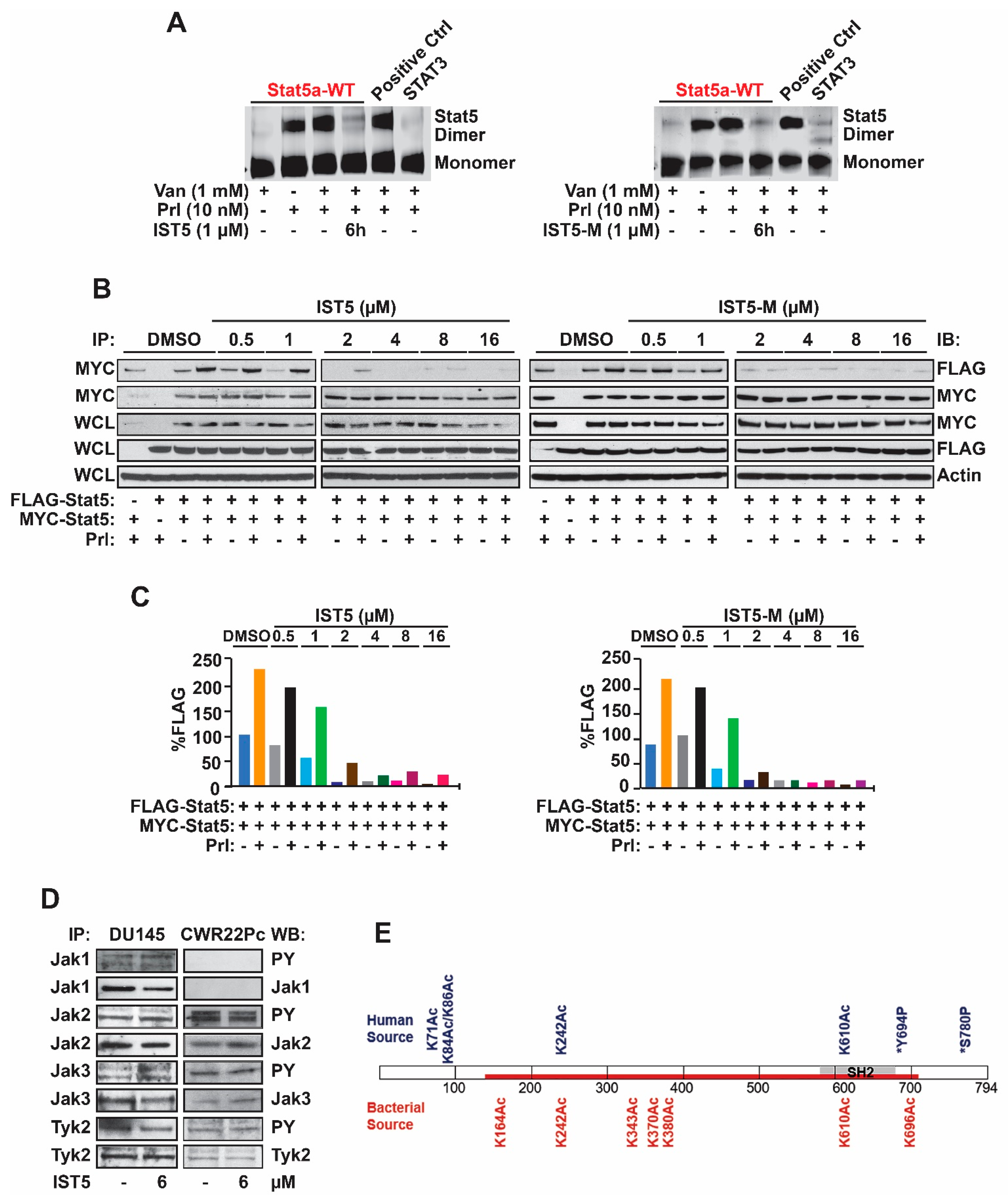 Cancers 12 03412 g005 Cancers 12 03412 g005