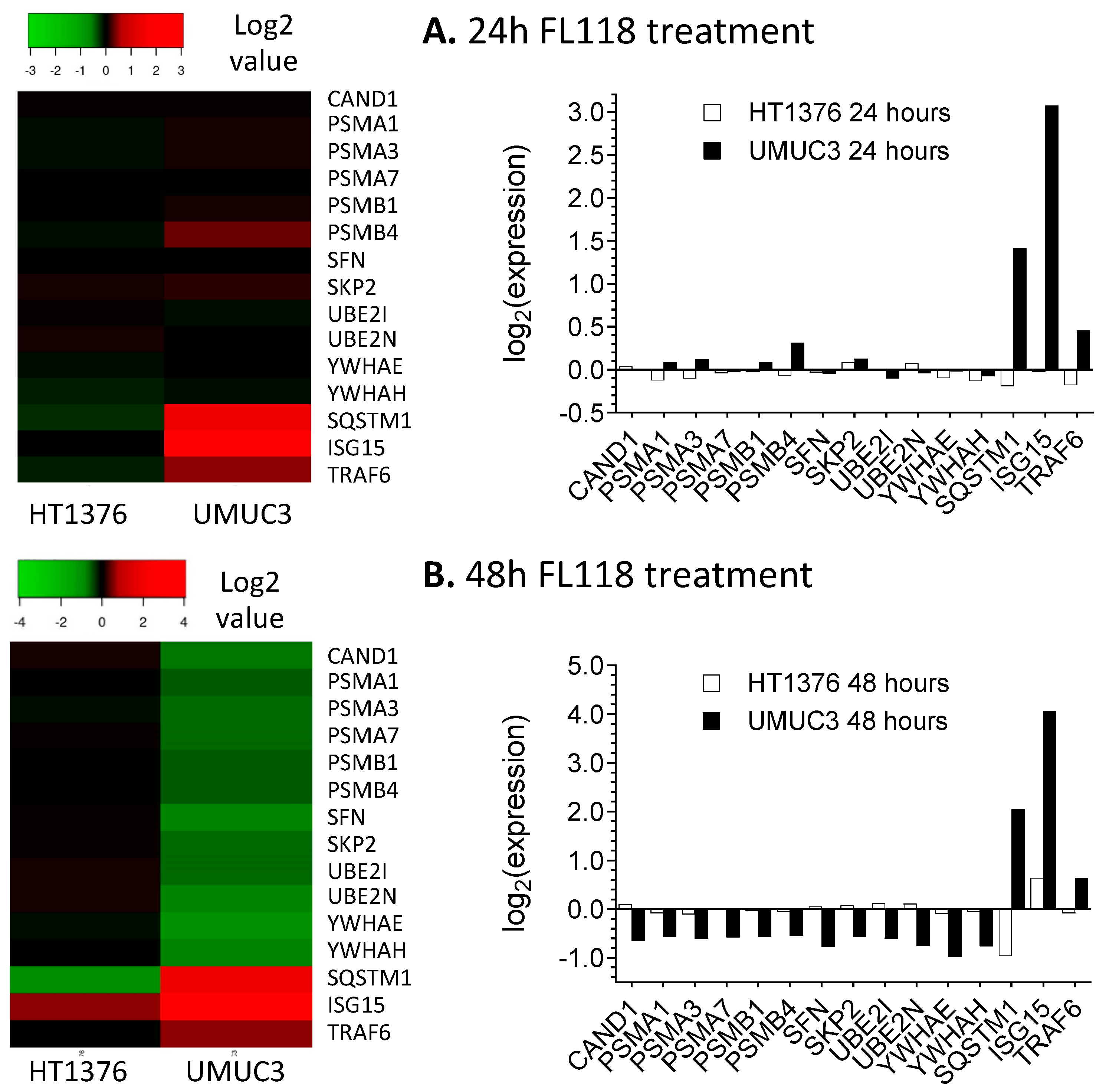 Cancers 12 03413 g008 Cancers 12 03413 g008