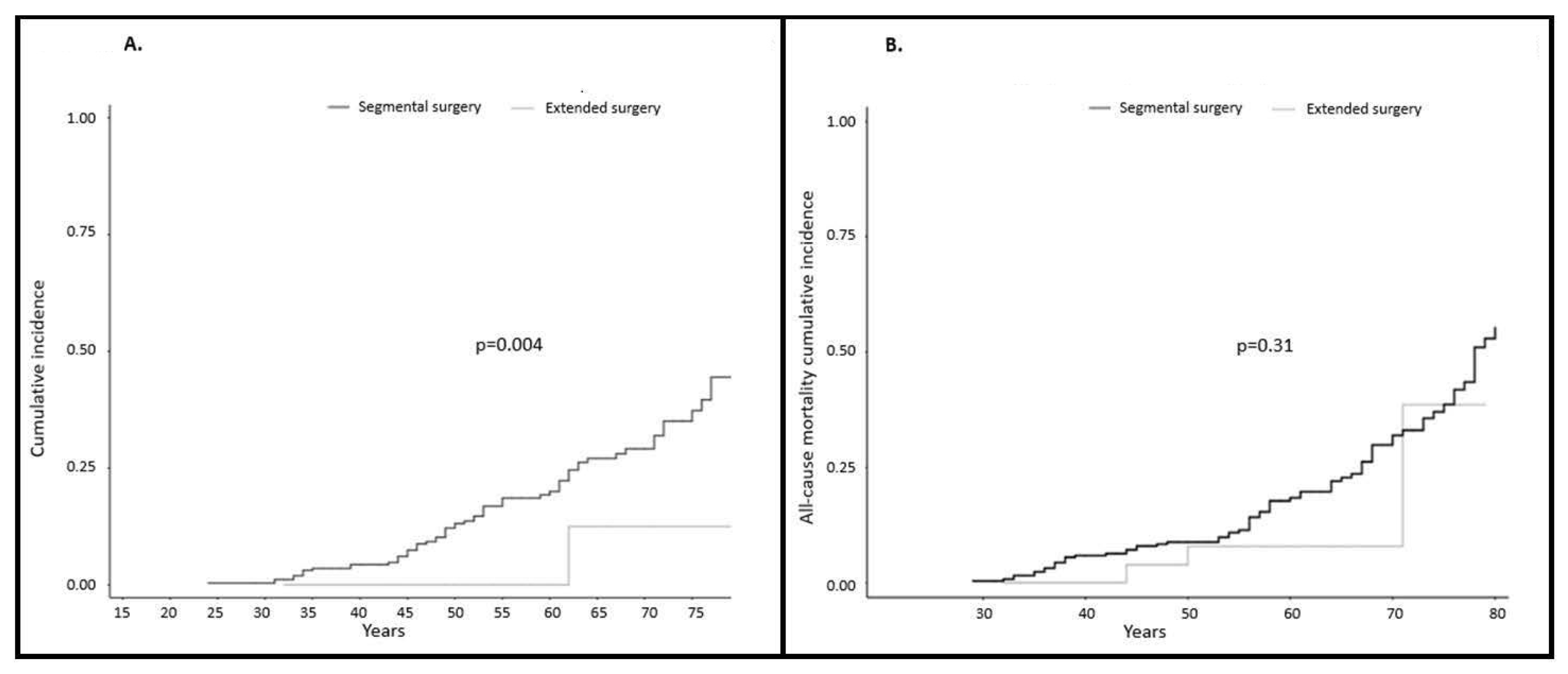 Cancers 12 03419 g001 Cancers 12 03419 g001