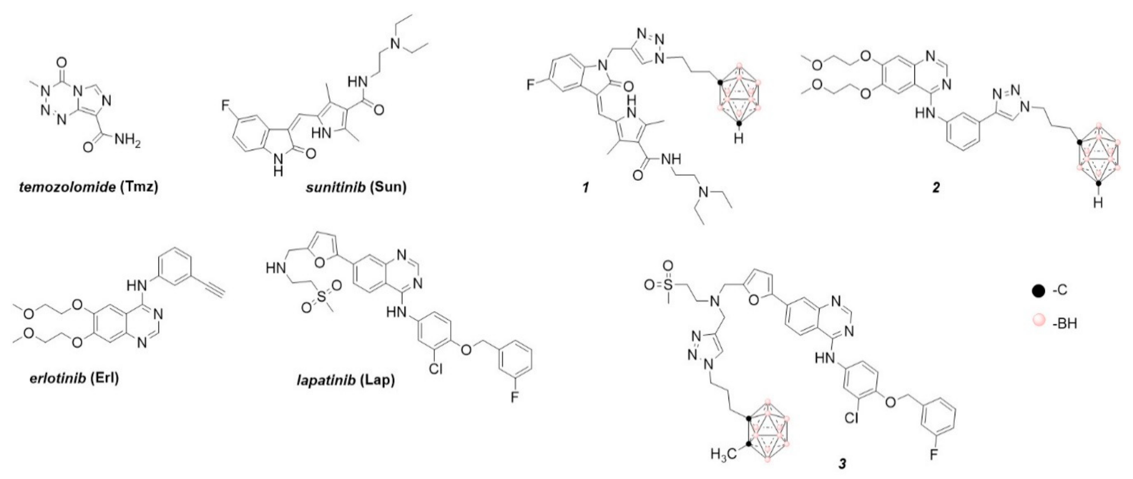 Cancers 12 03423 g001 Cancers 12 03423 g001