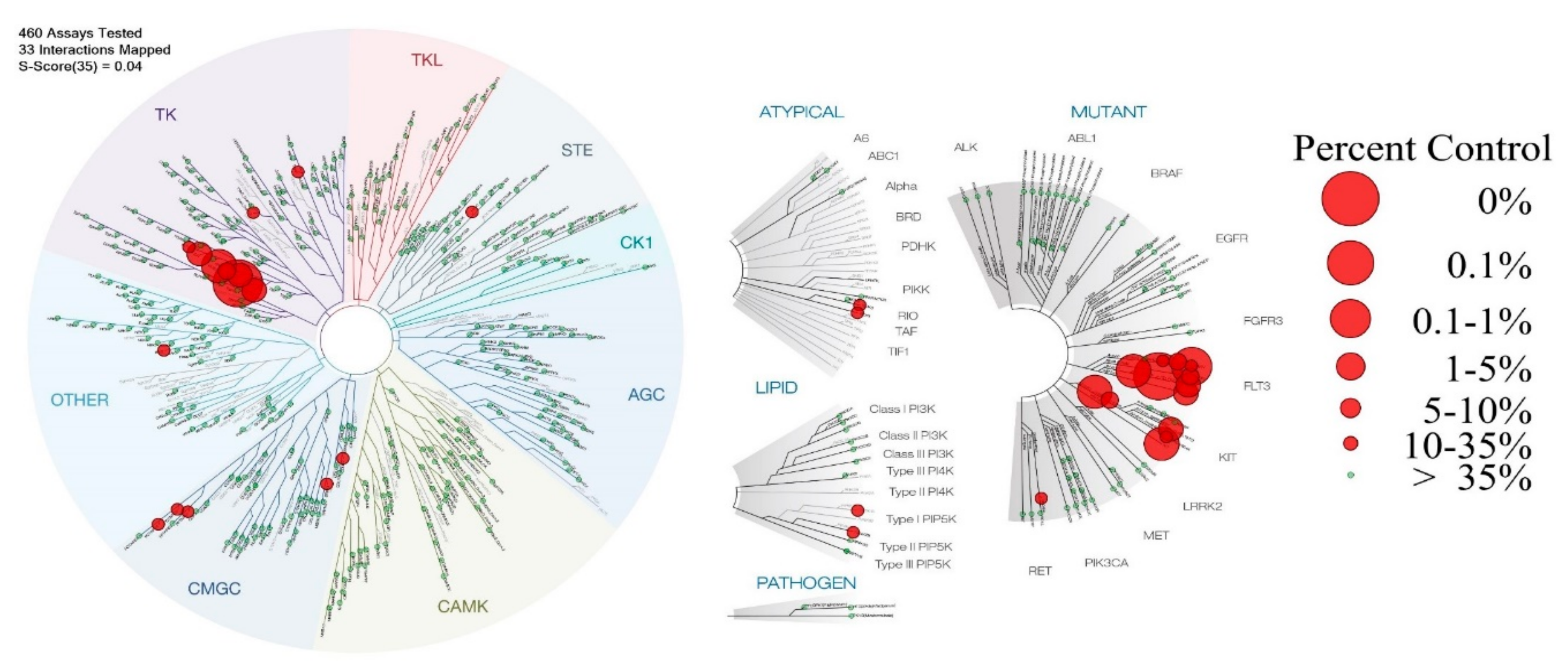 Cancers 12 03423 g003 Cancers 12 03423 g003