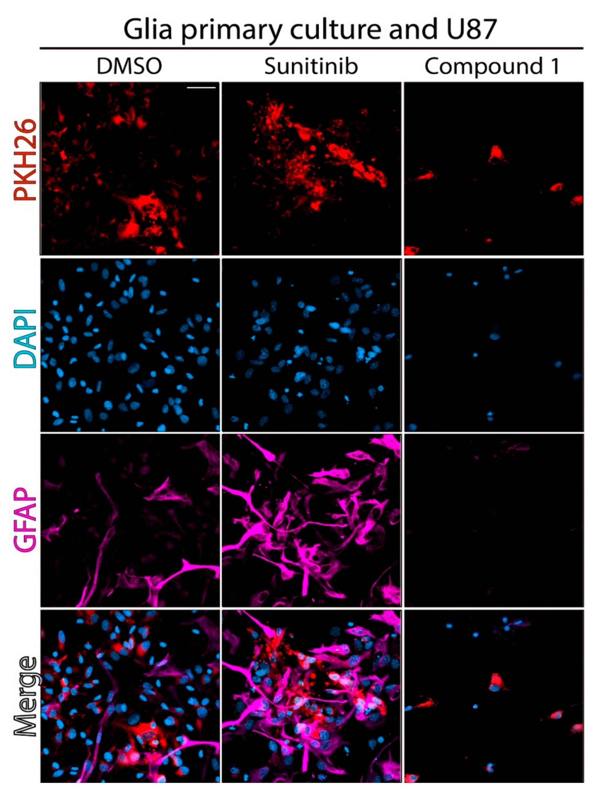 Cancers 12 03423 g004 Cancers 12 03423 g004