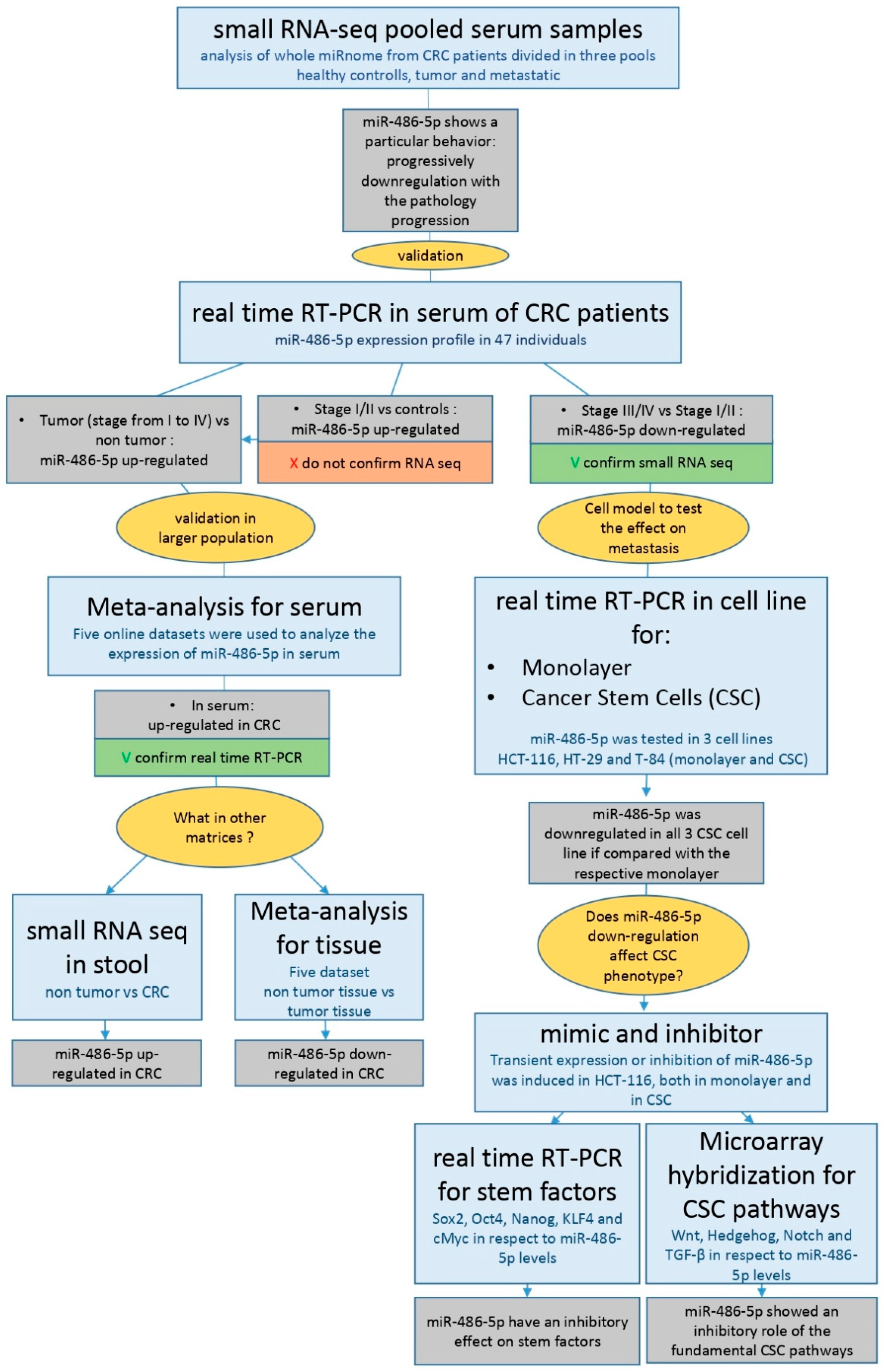 Cancers 12 03432 g001