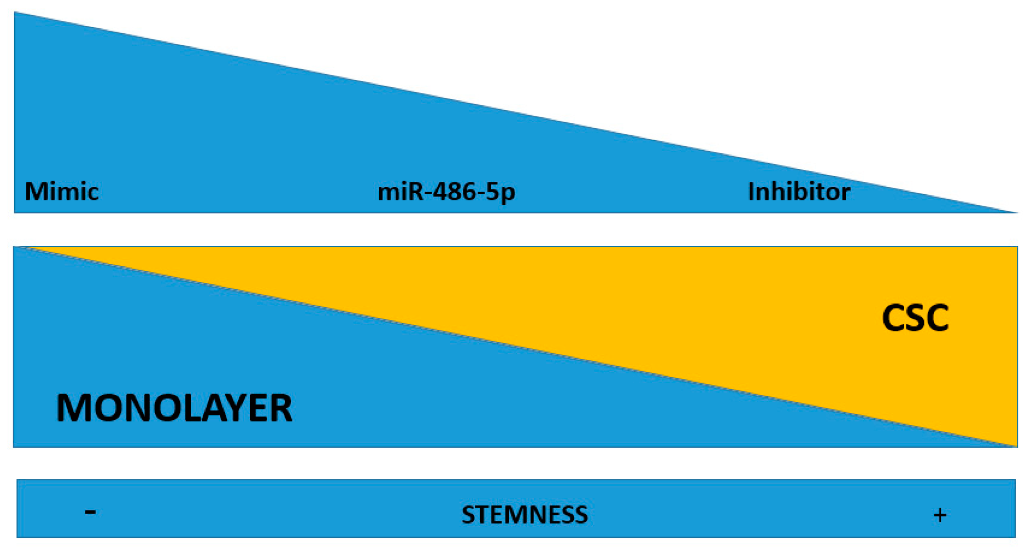 Cancers 12 03432 g006