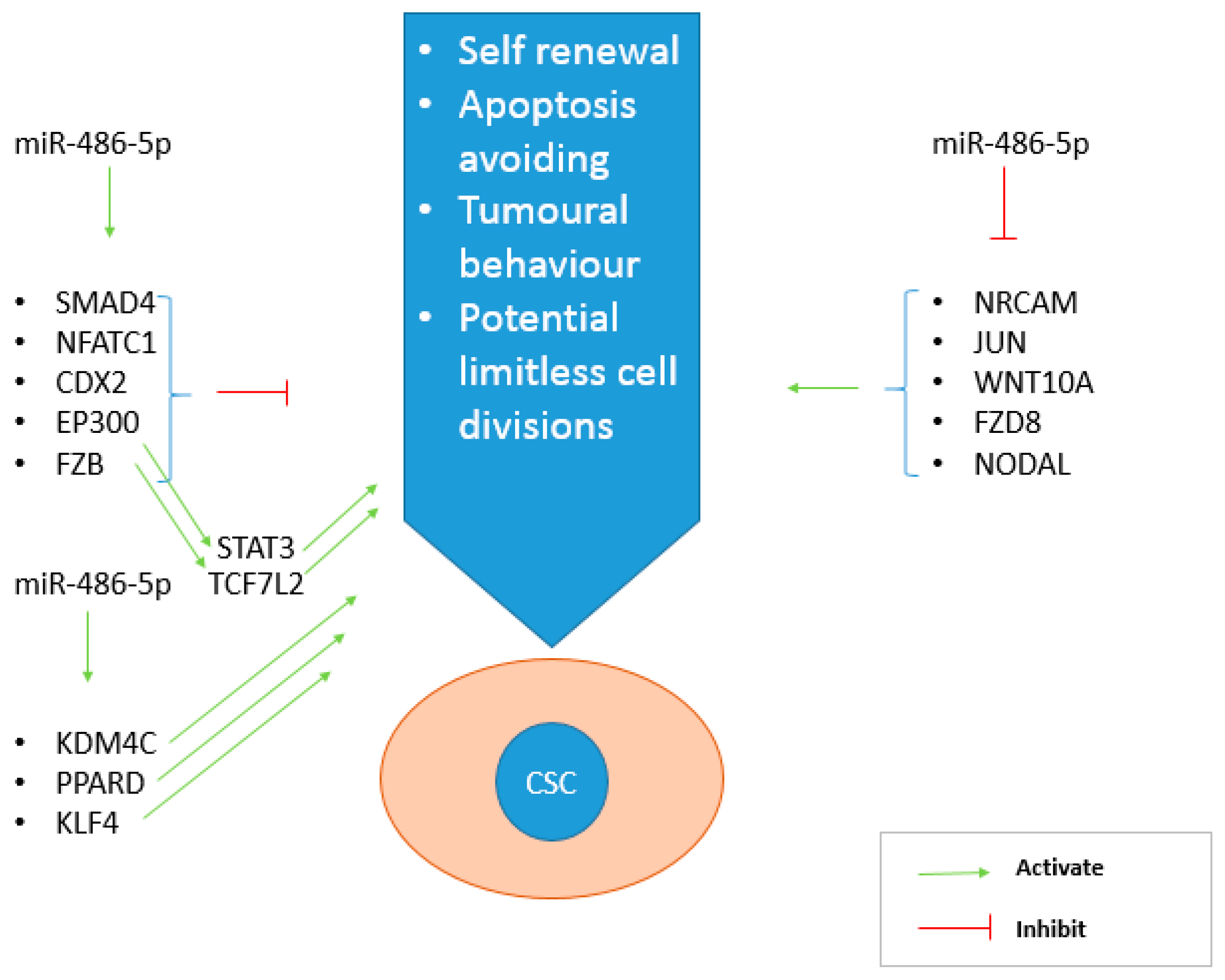 Cancers 12 03432 g008