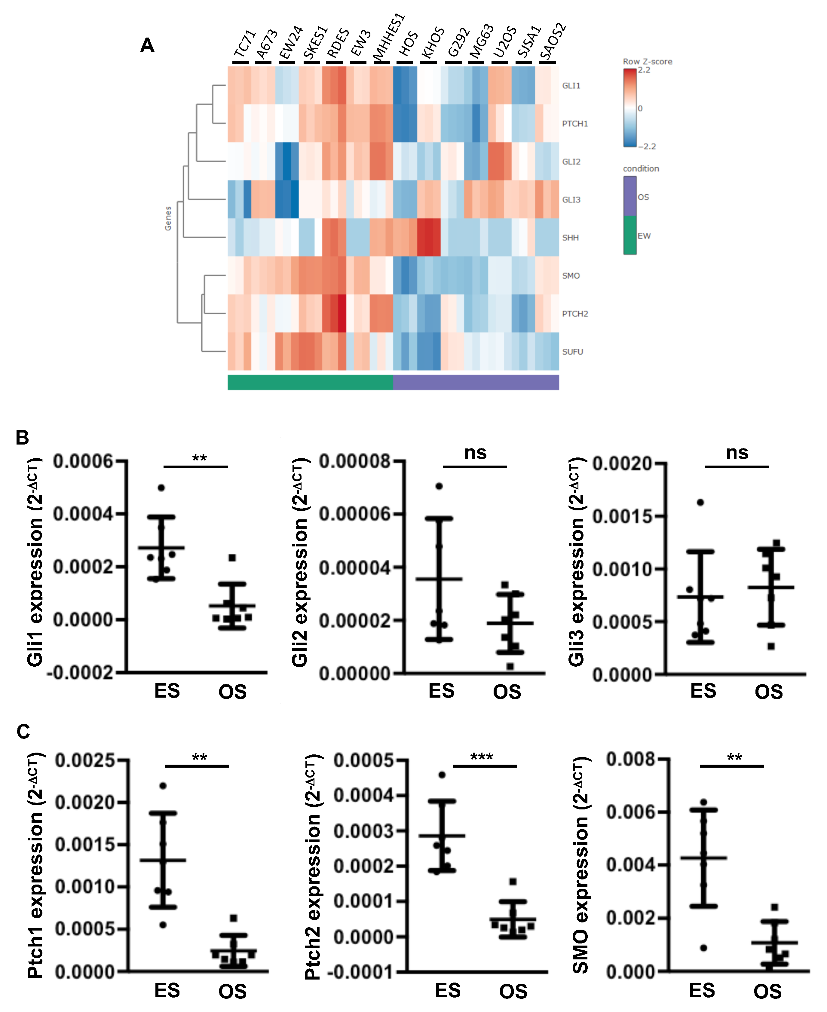 Cancers | Free Full-Text | Sonic Hedgehog Signature in Pediatric Primary  Bone Tumors: Effects of the GLI Antagonist GANT61 on Ewing's Sarcoma Tumor  Growth