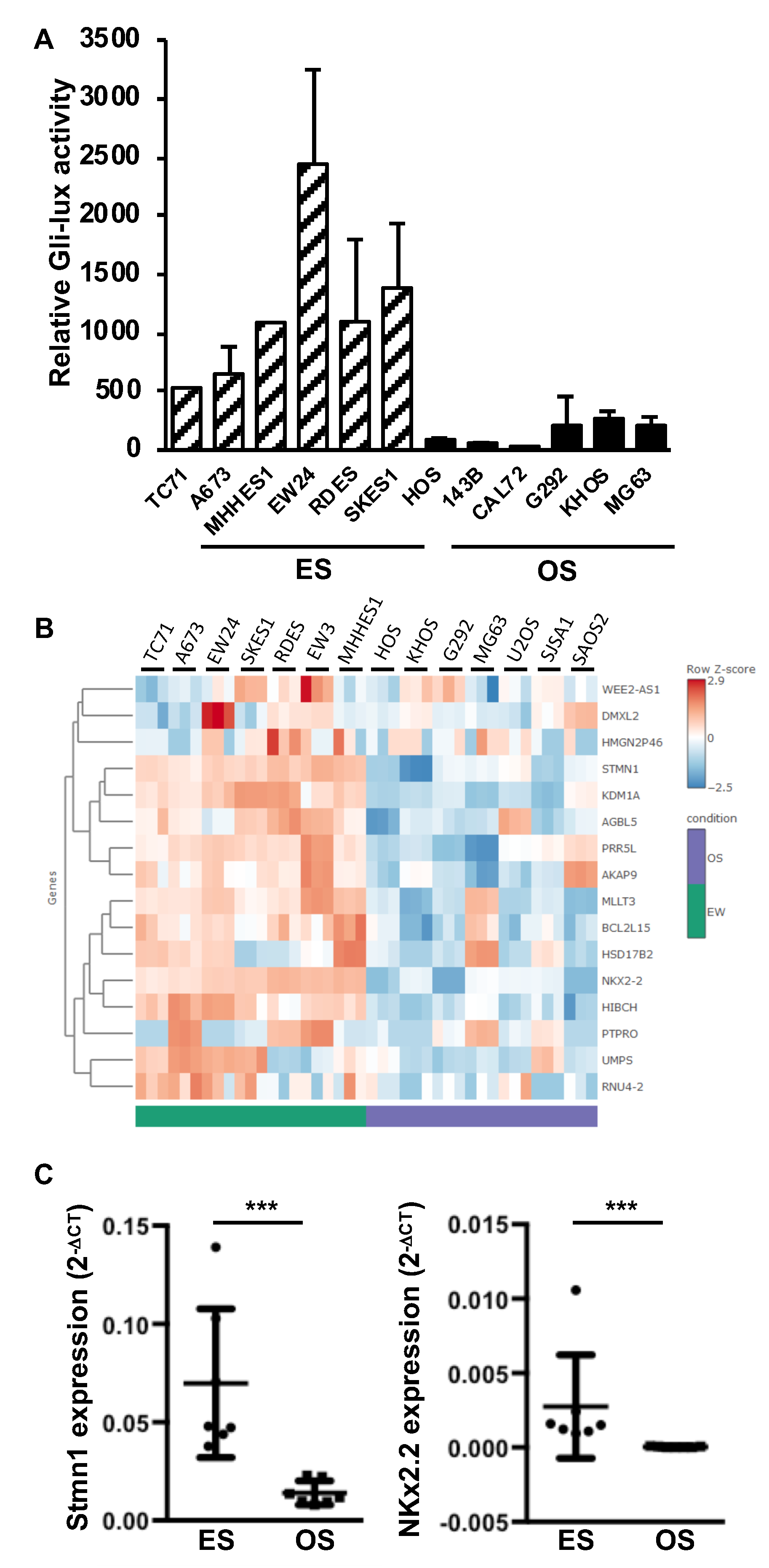Cancers | Free Full-Text | Sonic Hedgehog Signature in Pediatric Primary  Bone Tumors: Effects of the GLI Antagonist GANT61 on Ewing's Sarcoma Tumor  Growth