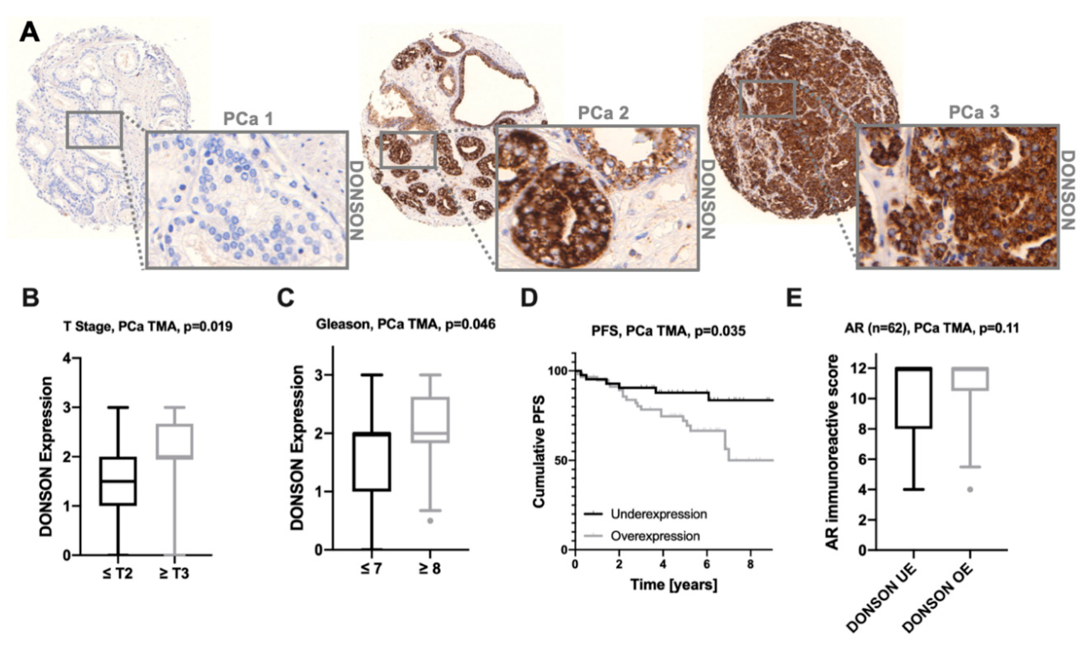 Cancers 12 03439 g003 Cancers 12 03439 g003