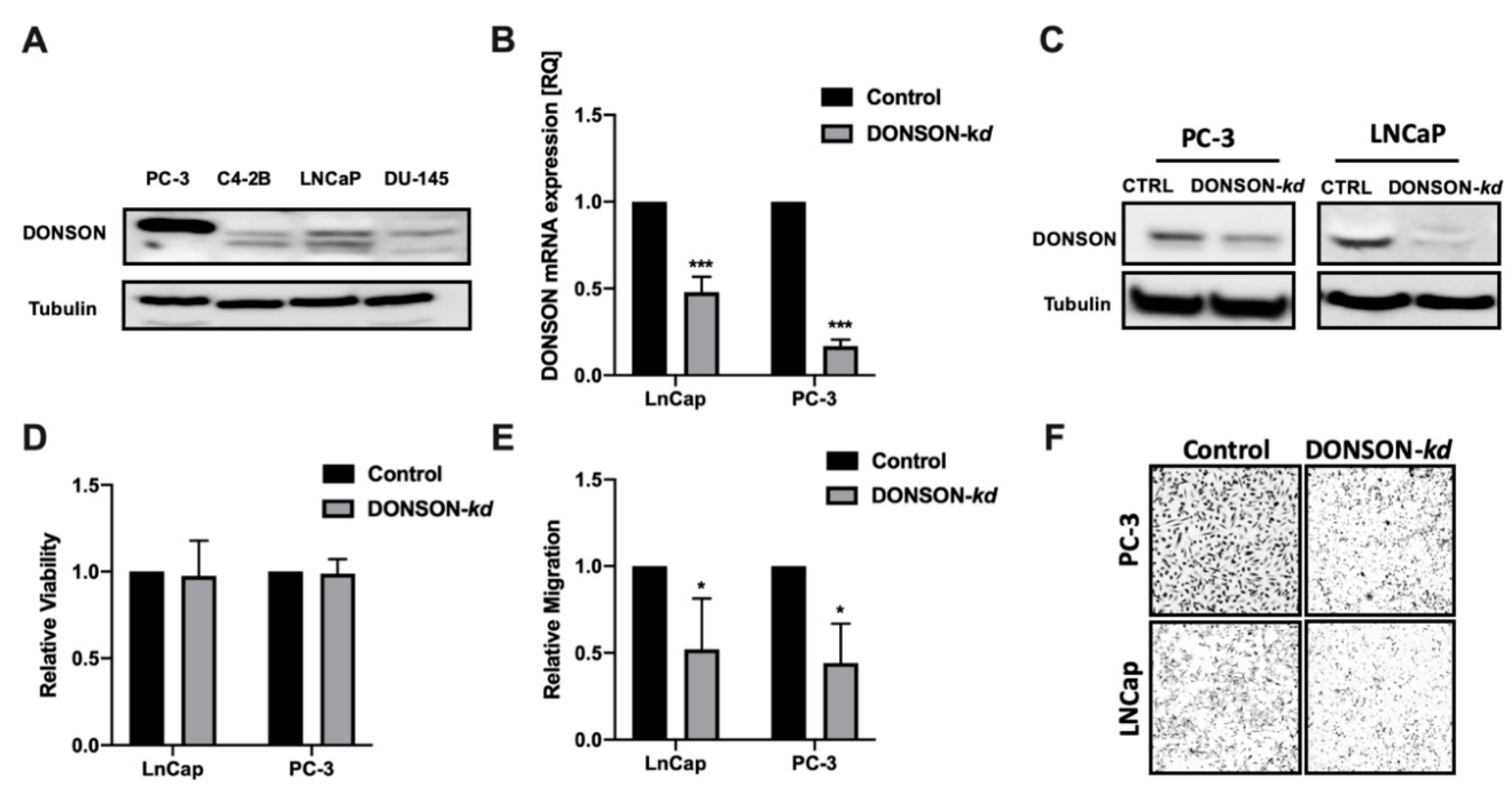 Cancers 12 03439 g004 Cancers 12 03439 g004