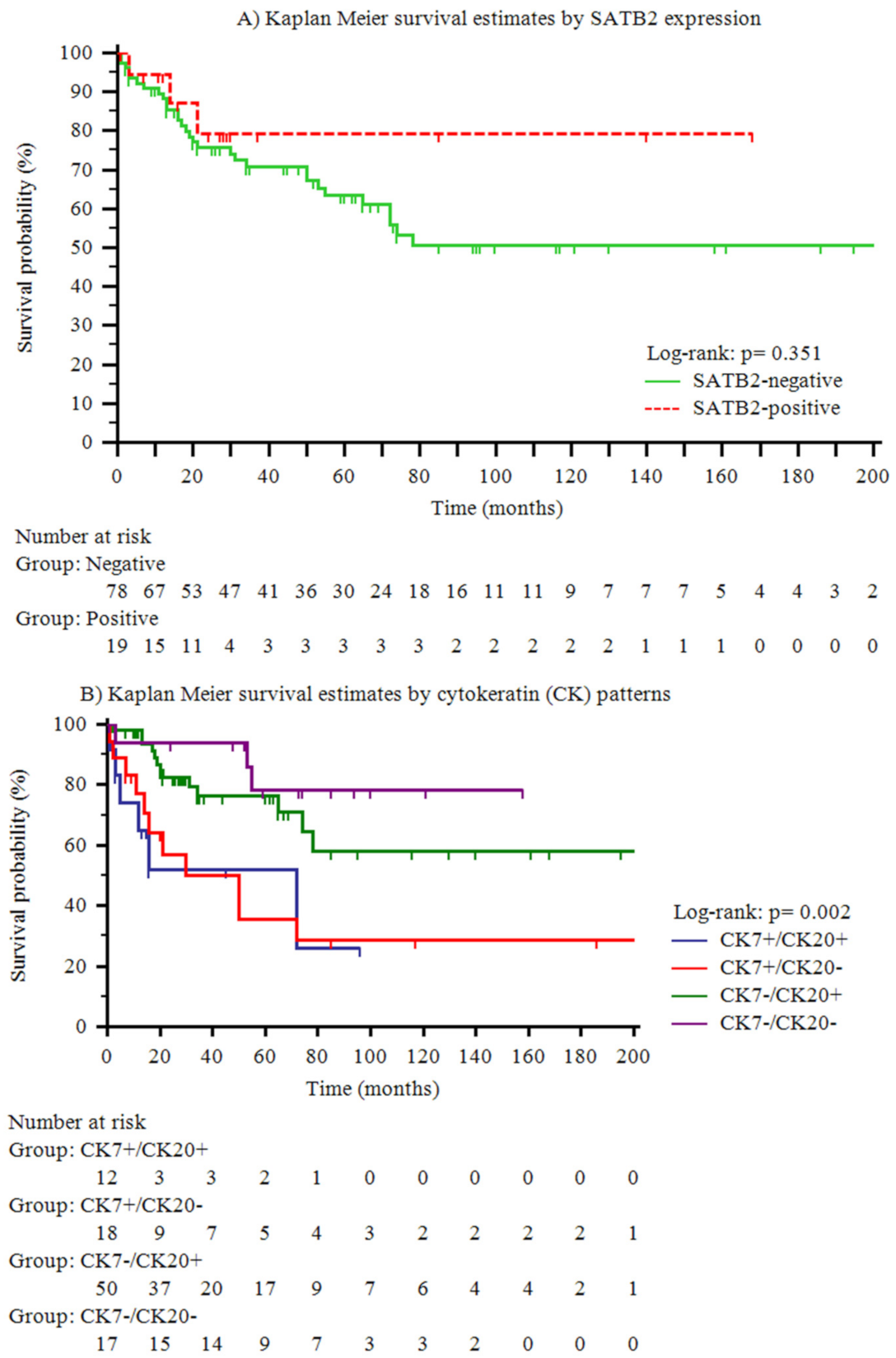 Cancers 12 03441 g002 Cancers 12 03441 g002