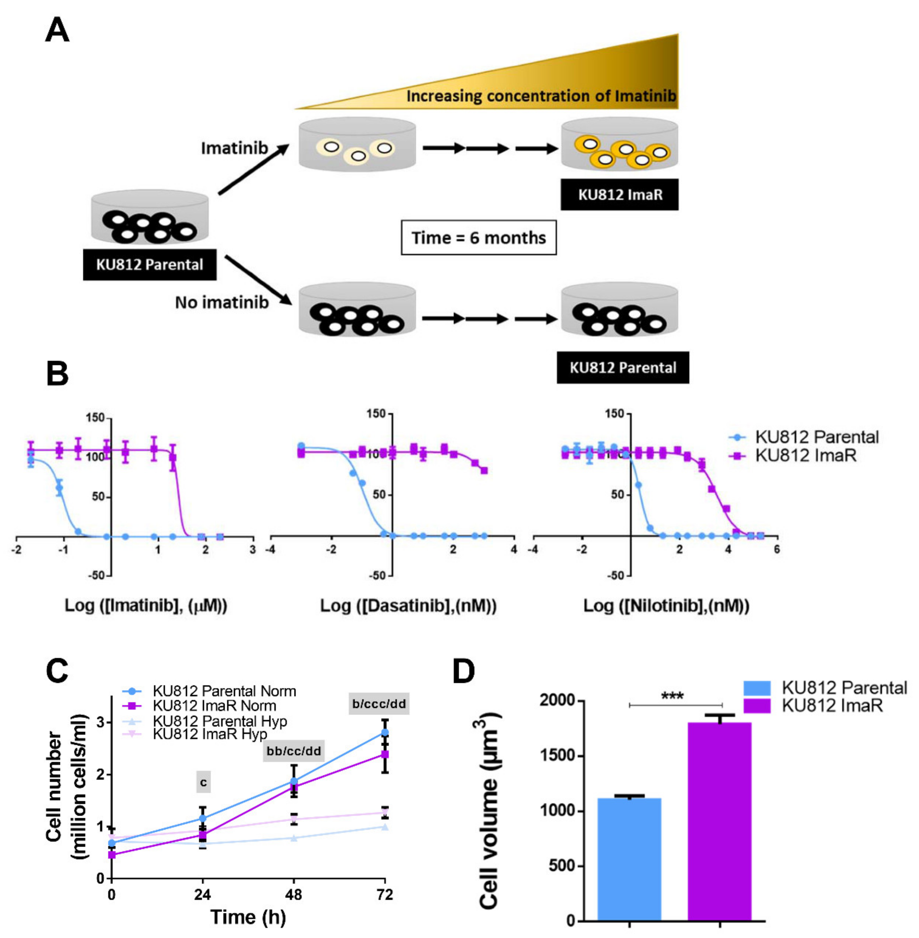 Cancers 12 03443 g001 Cancers 12 03443 g001