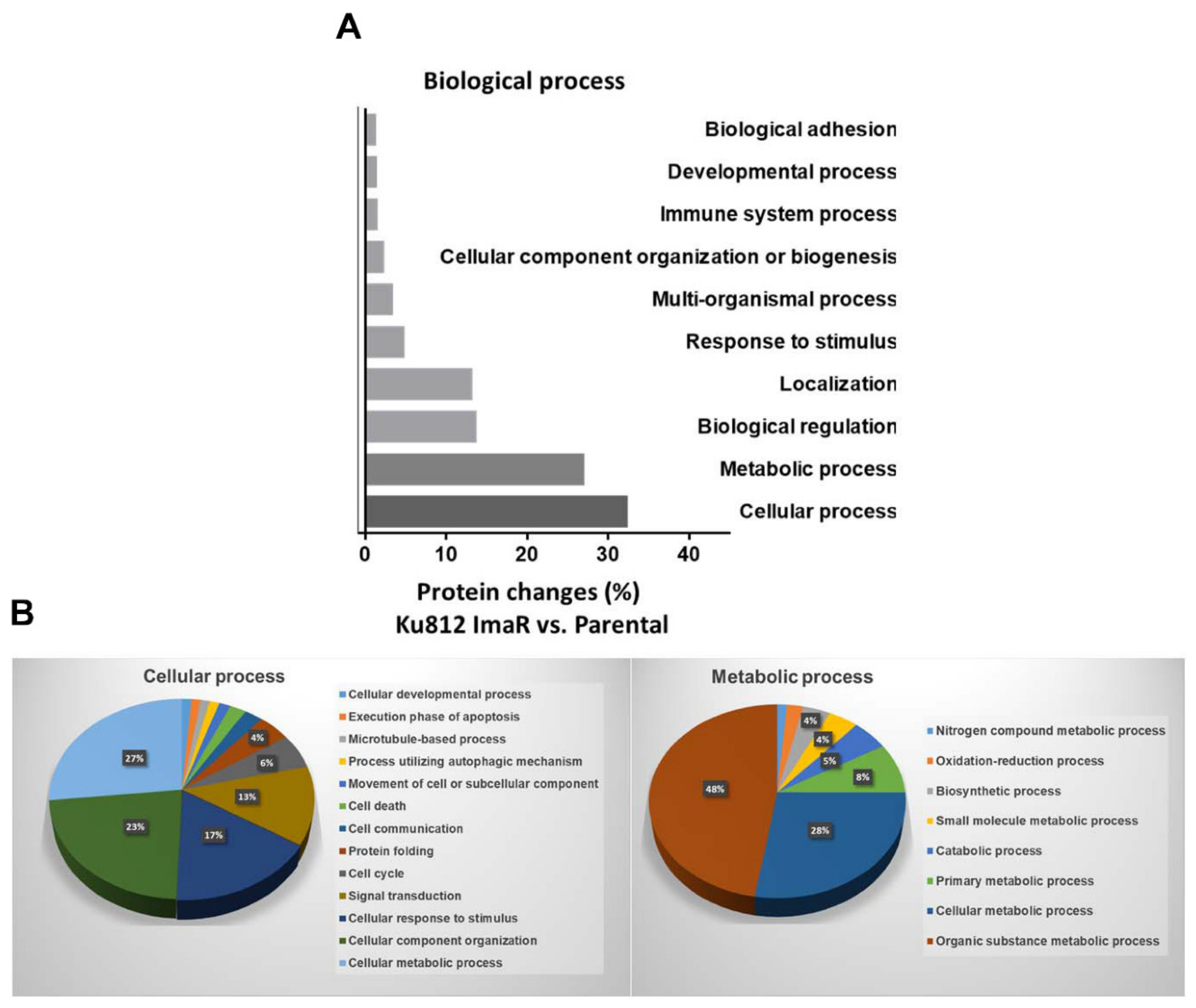 Cancers 12 03443 g002 Cancers 12 03443 g002