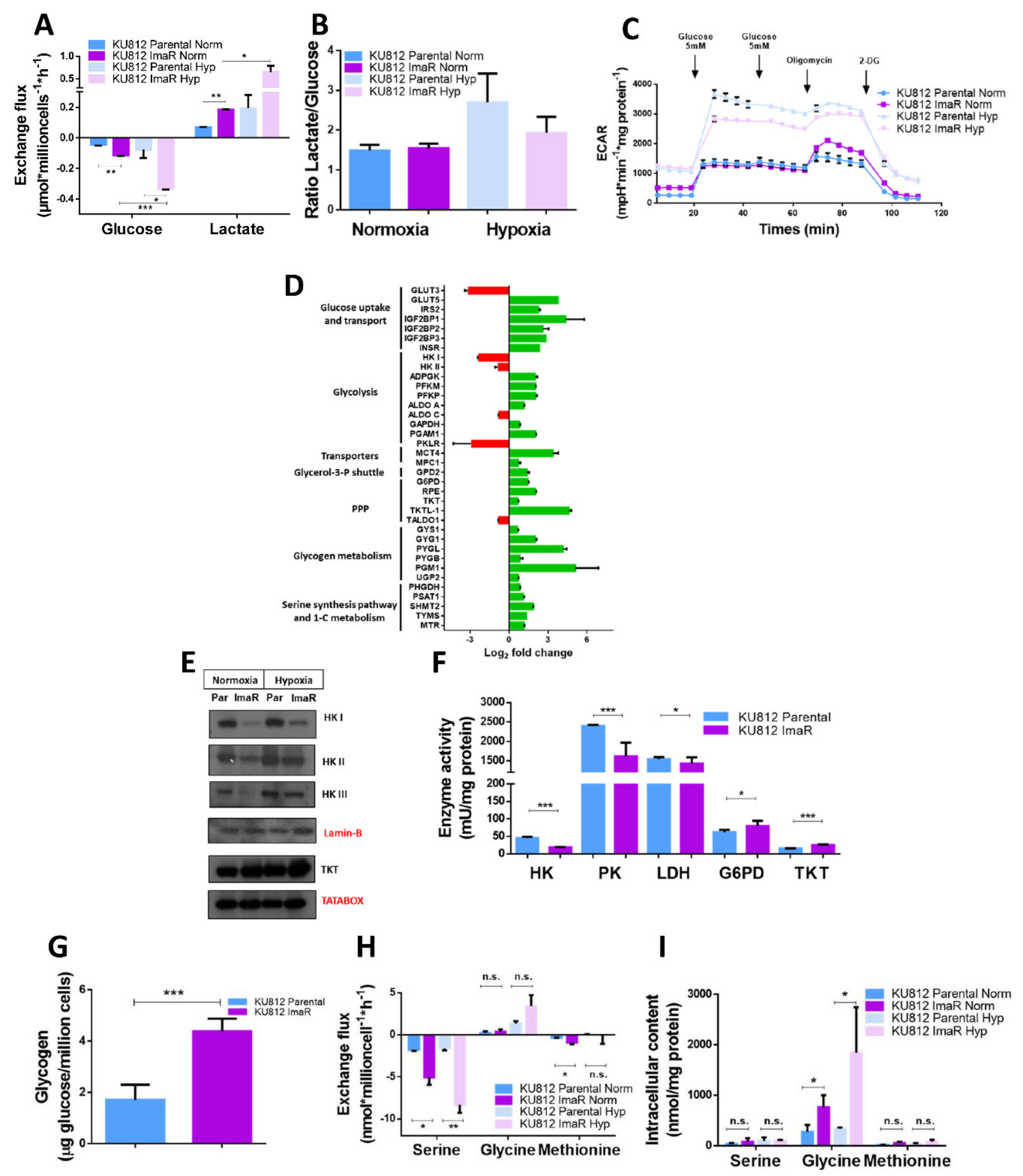 Cancers 12 03443 g003 Cancers 12 03443 g003