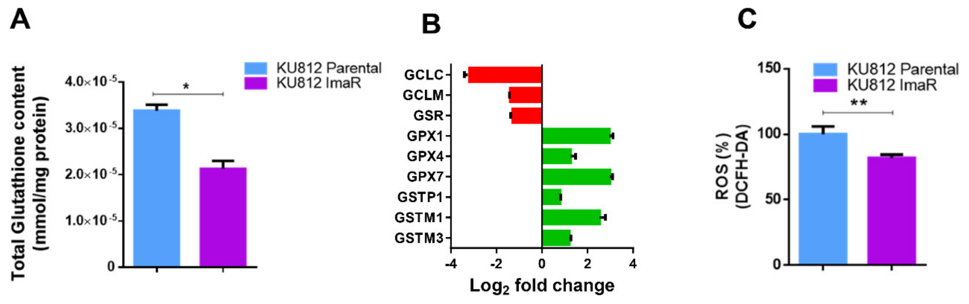 Cancers 12 03443 g005 Cancers 12 03443 g005