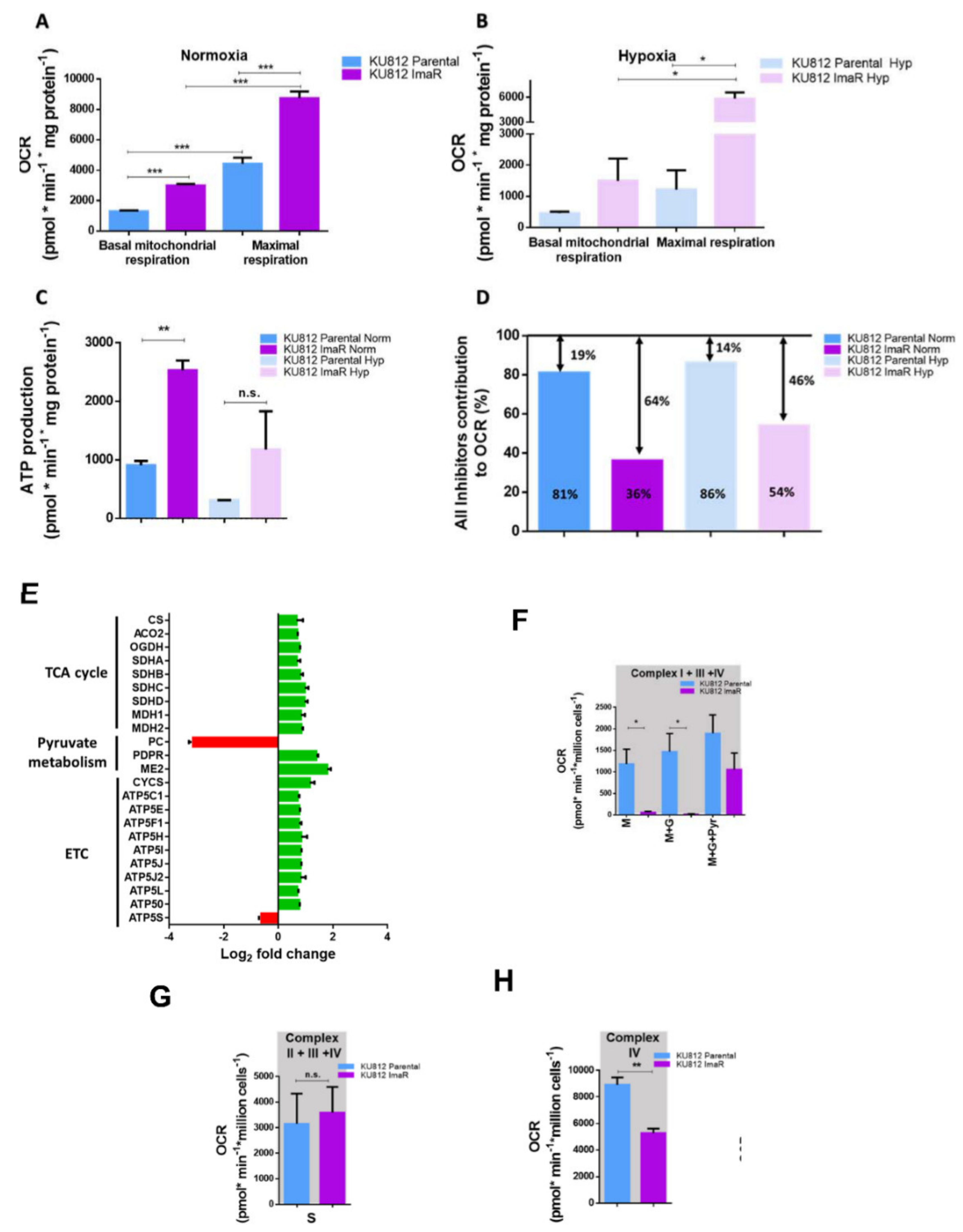 Cancers 12 03443 g006 Cancers 12 03443 g006